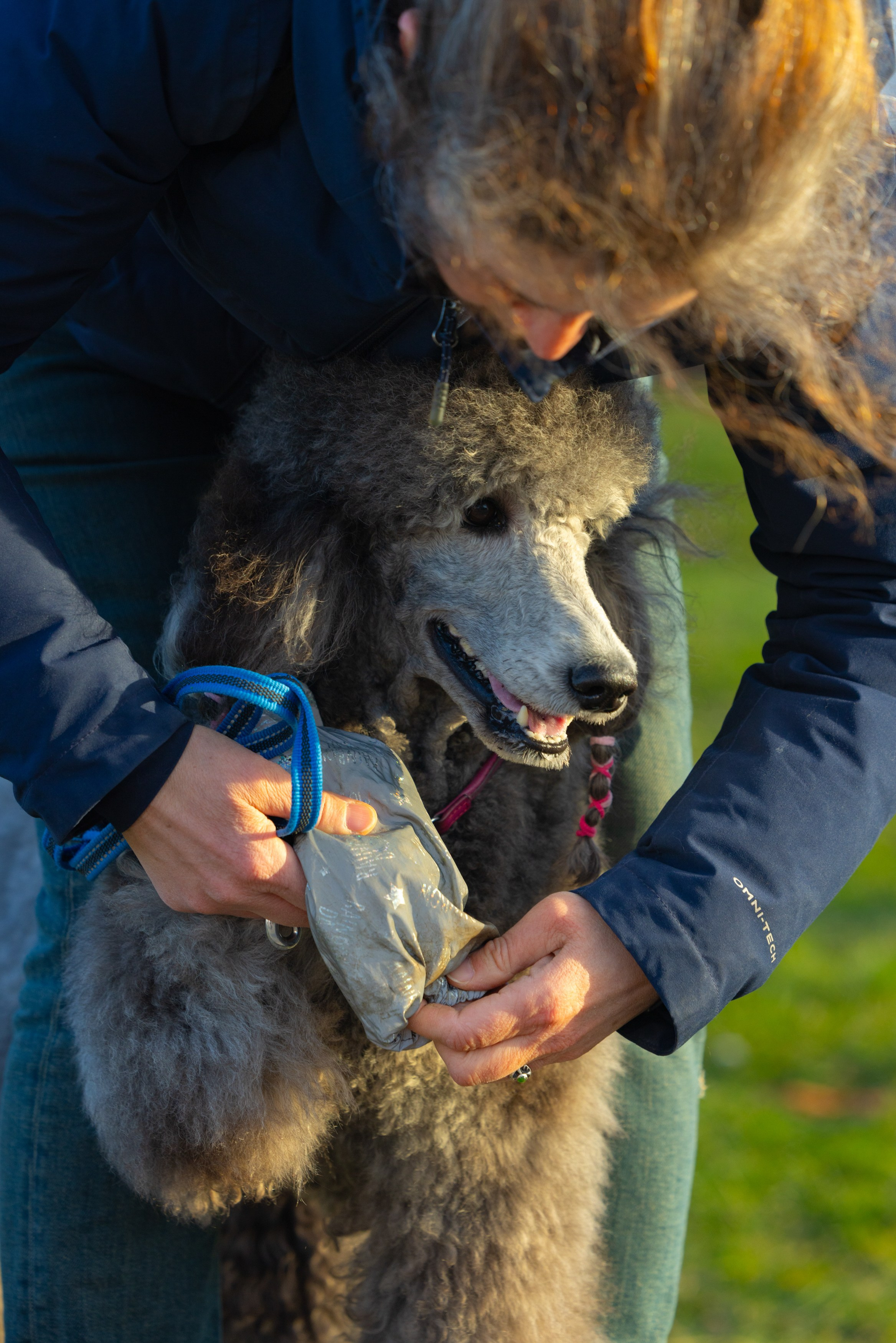 Клуб грумеров (прогулка и семинары). Виктория Зудина — фотограф в Москве