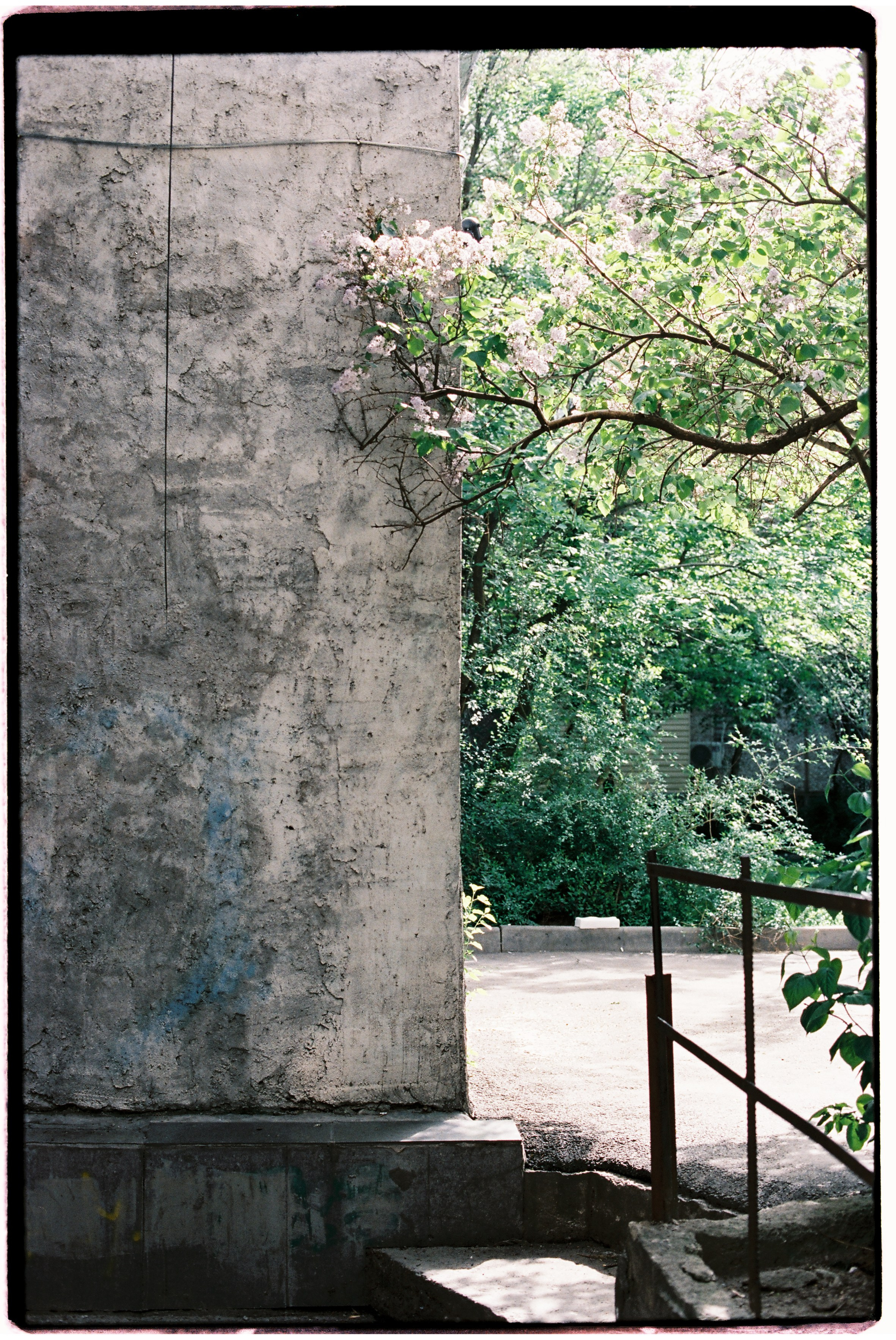 Almaty. Philipp Yelistratov