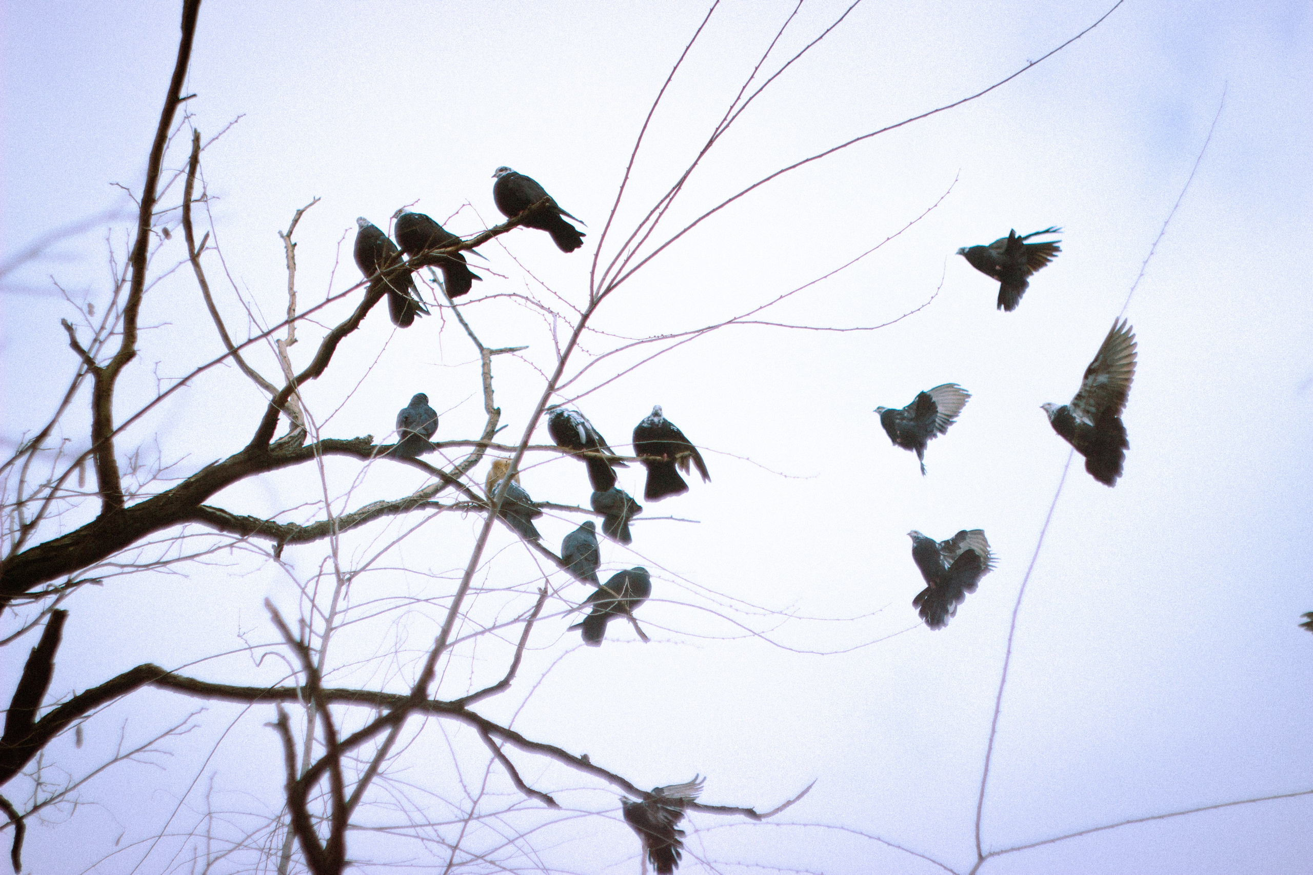 Прекрасное далеко. • Фотограф Александра Светозар Алчевск •