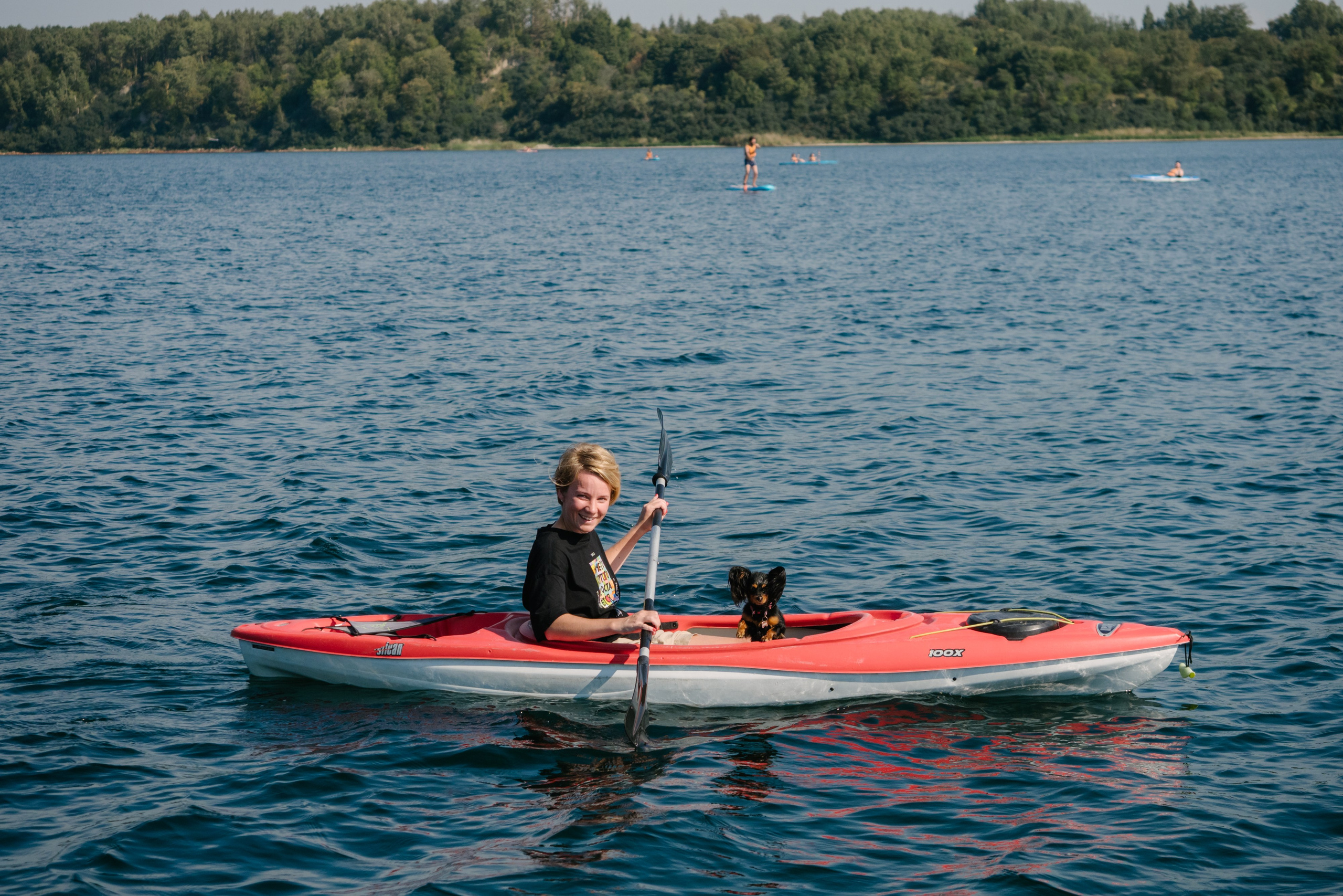 Портфолио для организаторов мероприятий