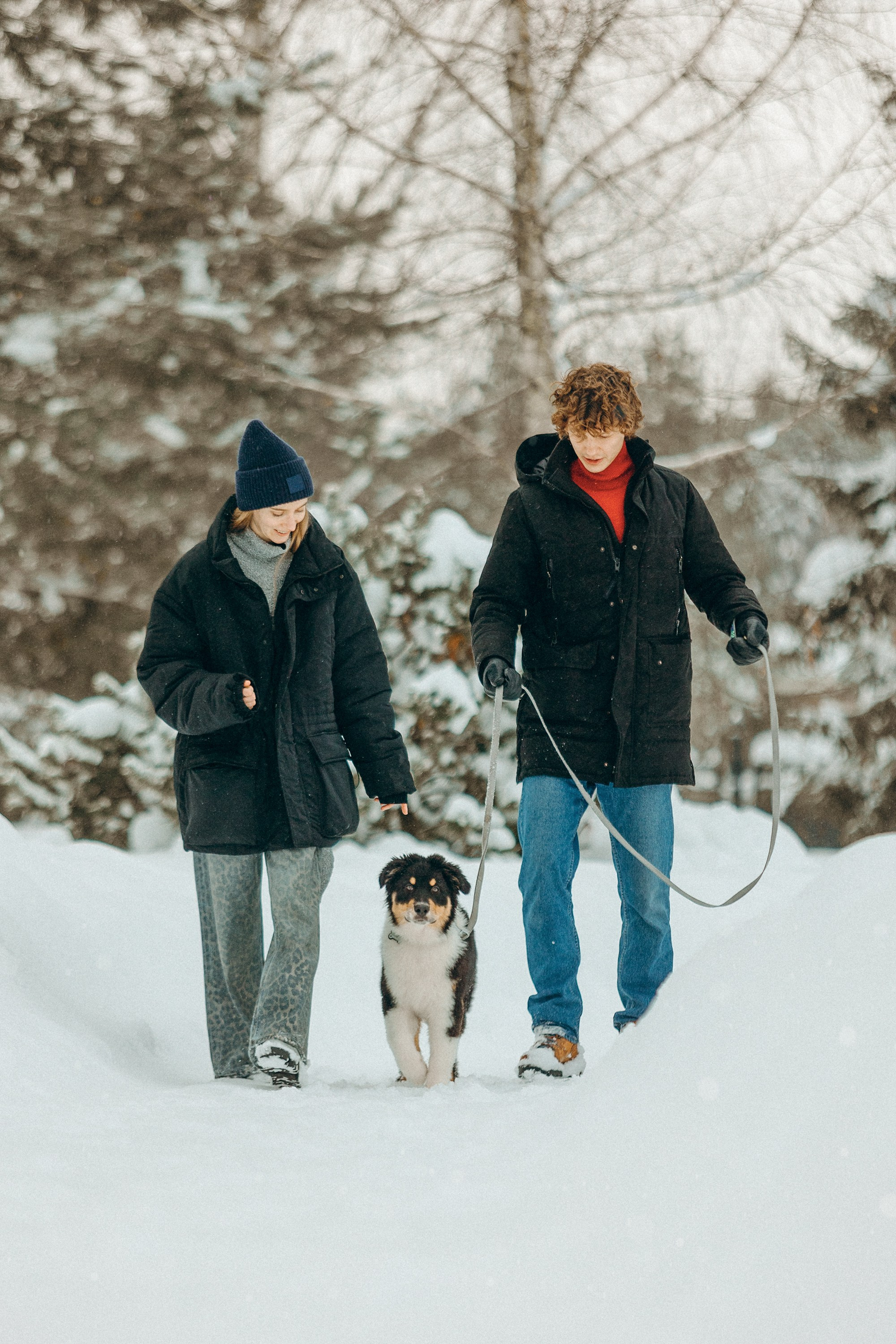 Рей со своей семьей. Фотограф. Фотограф-анималист. Москва