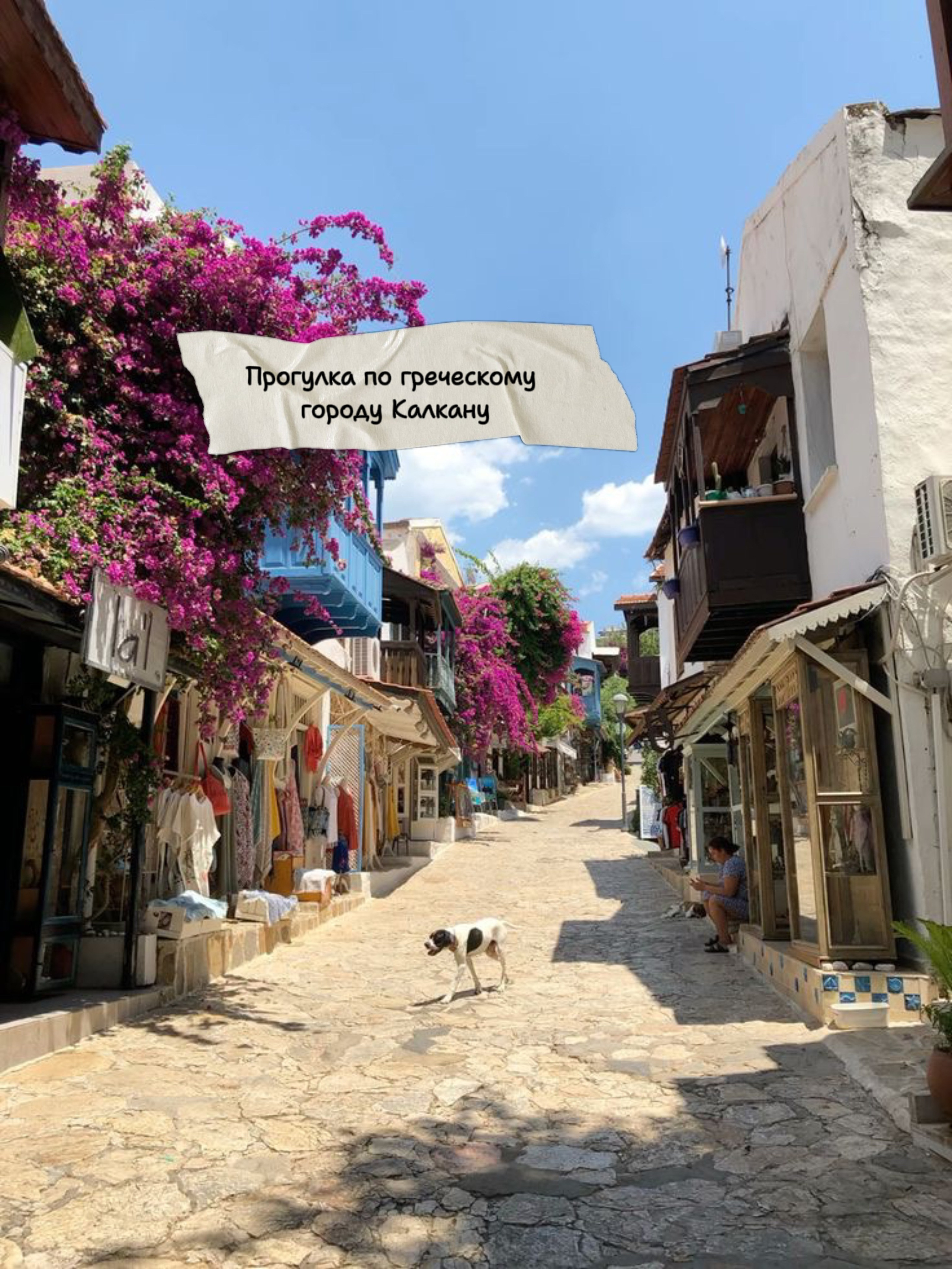 Фотодевичник в Каш. Студийный фотограф в Краснодаре