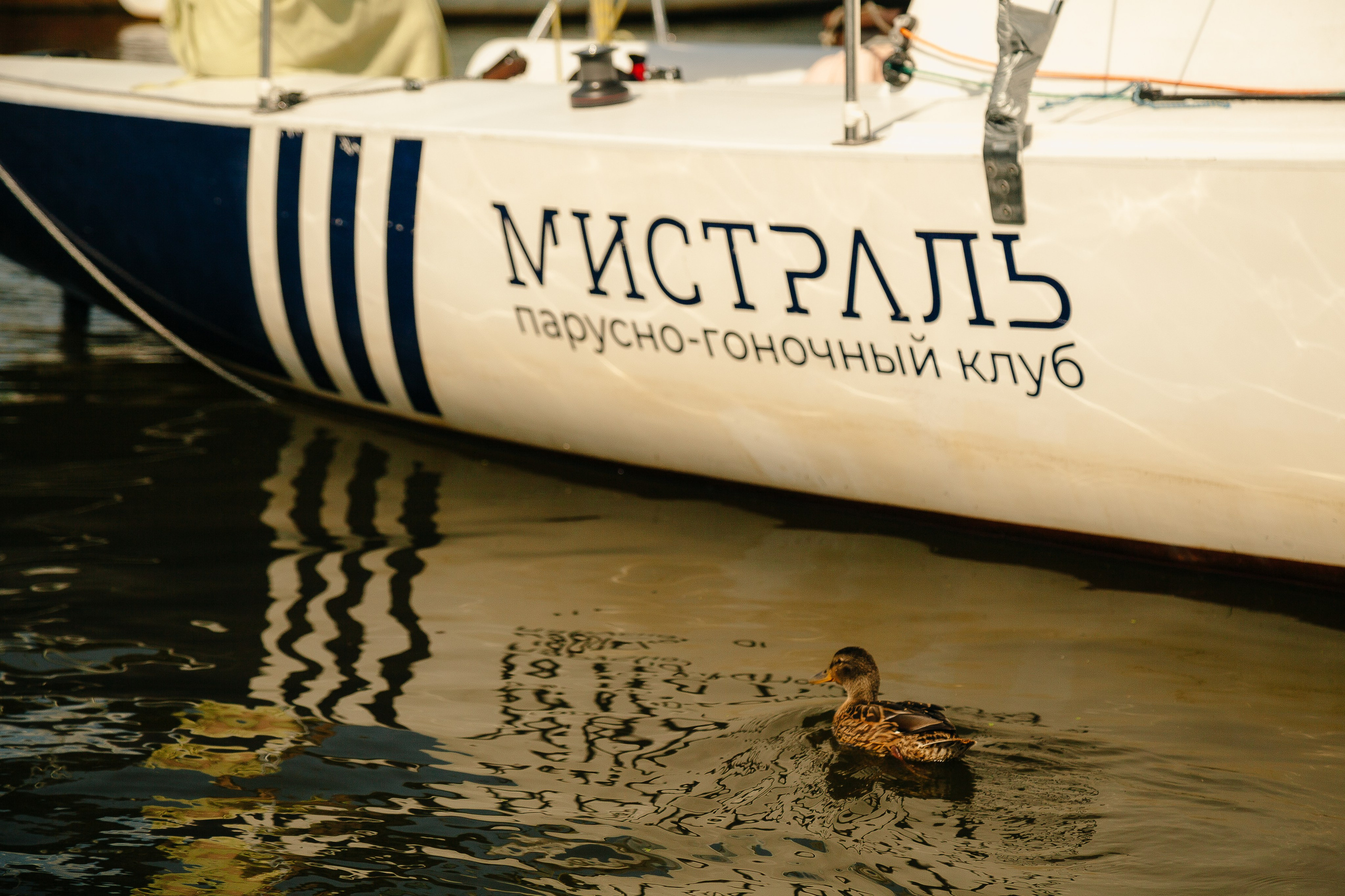 Мистраль промо. Леонид Рябов — фотограф в Нижнем Новгороде