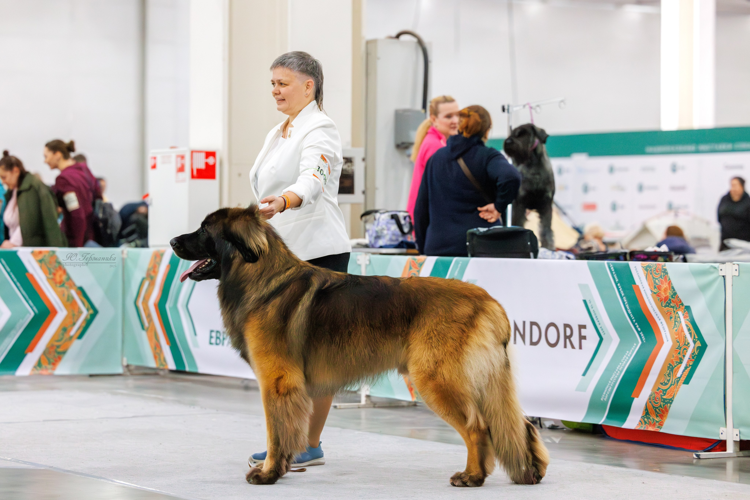 Евразия 15-16.11.2025. Фотограф-анималист Юлия Германика