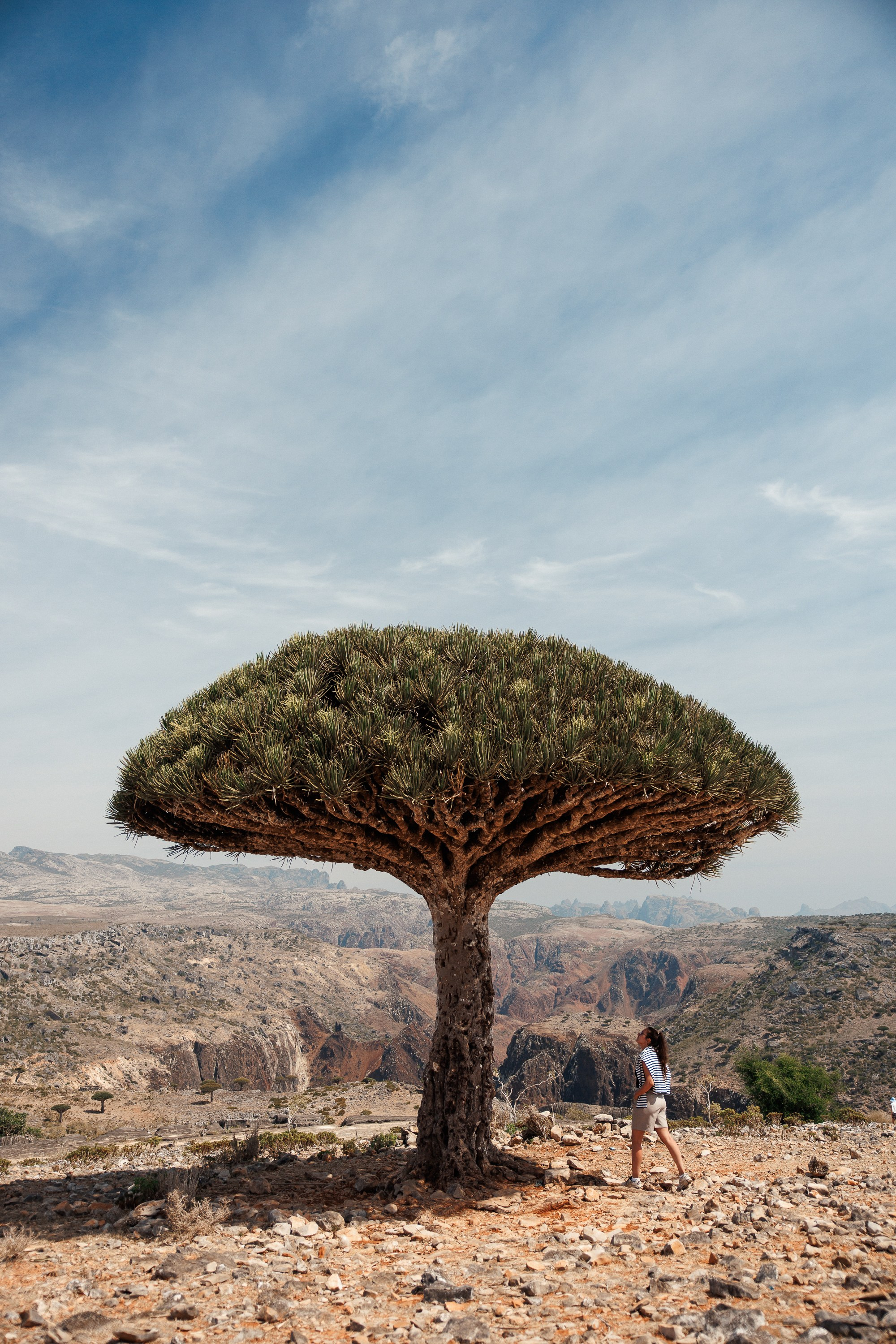 Socotra