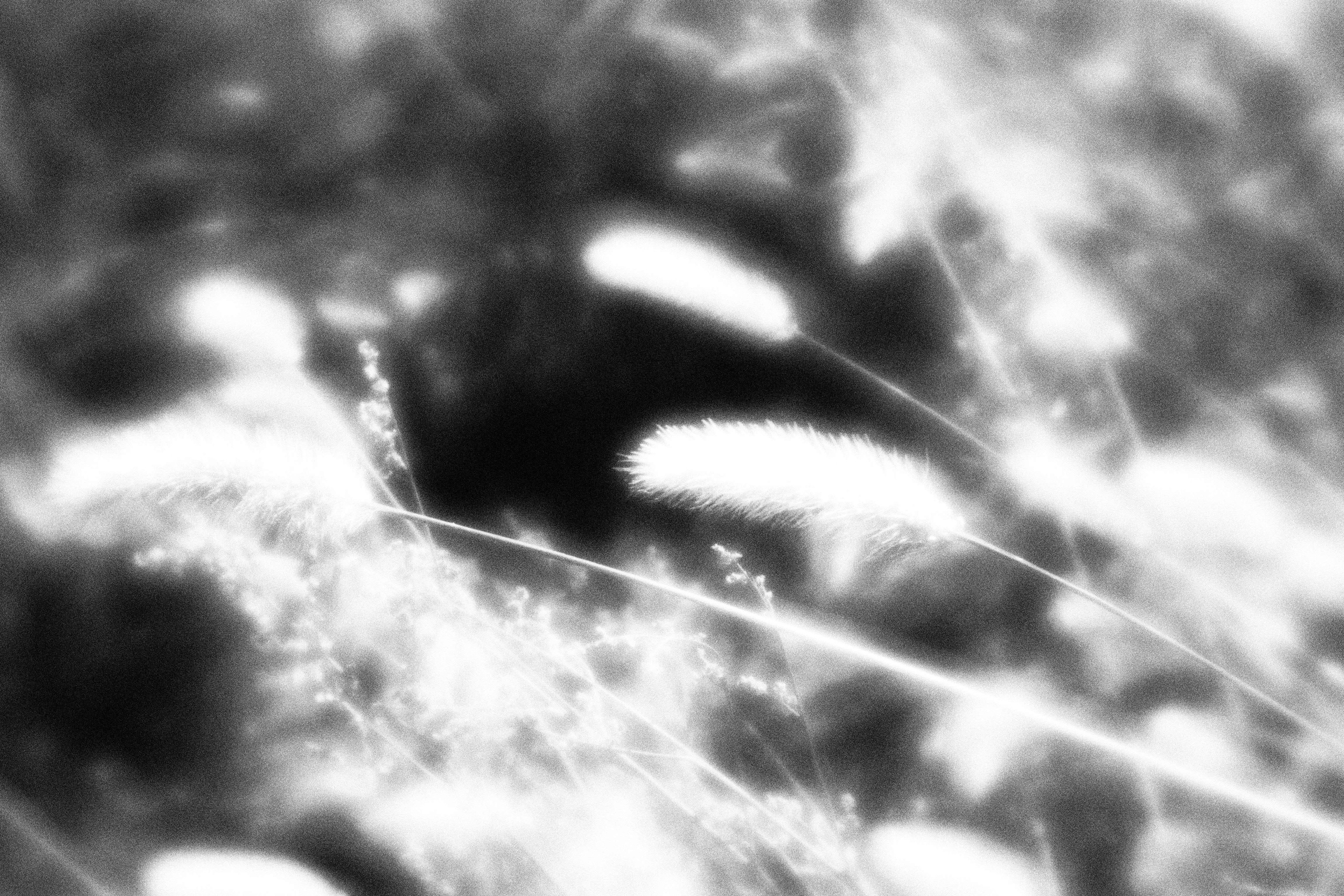 Внутривенные сны (2023)