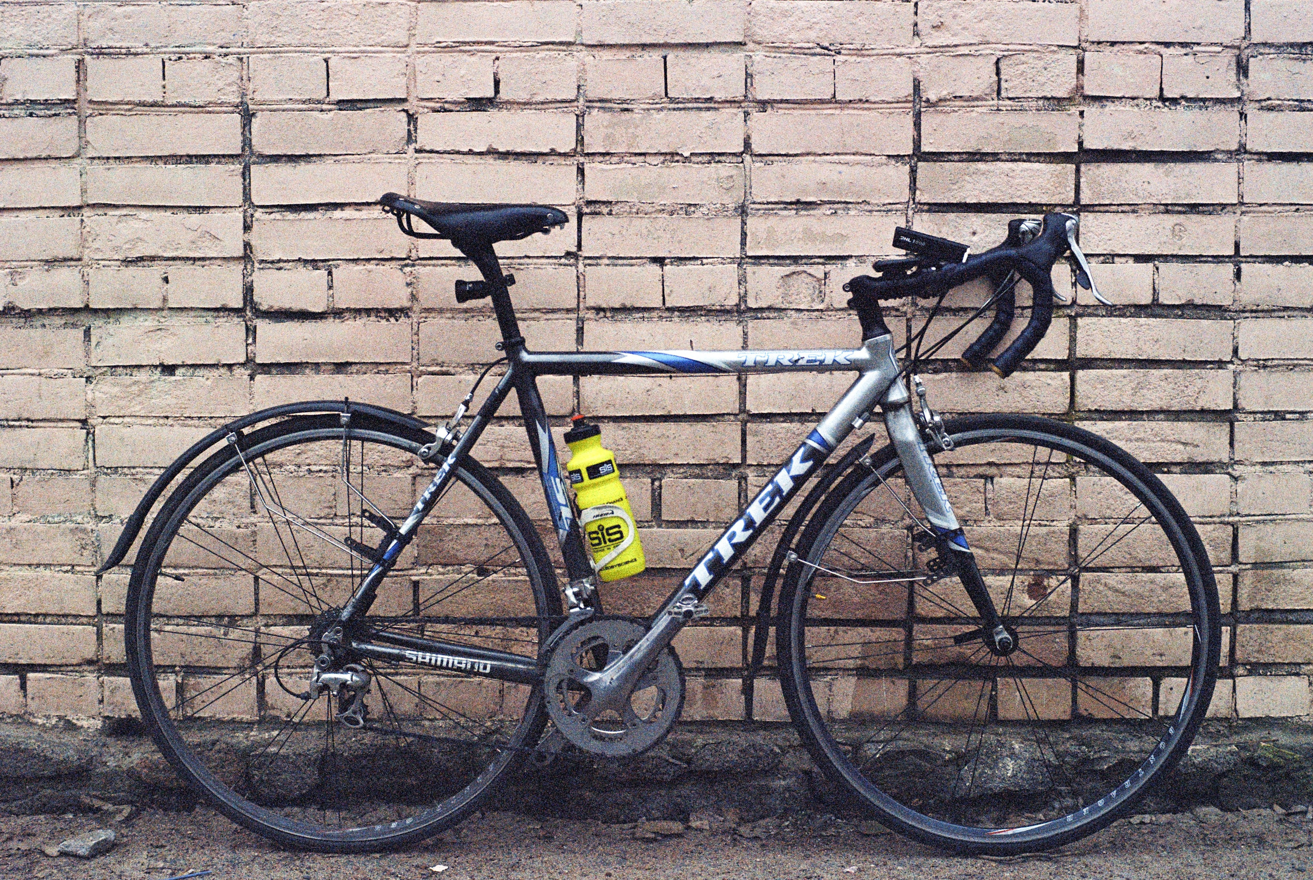 Плёночная весна 2025. Илья Михачёв Фотограф ПРО людей