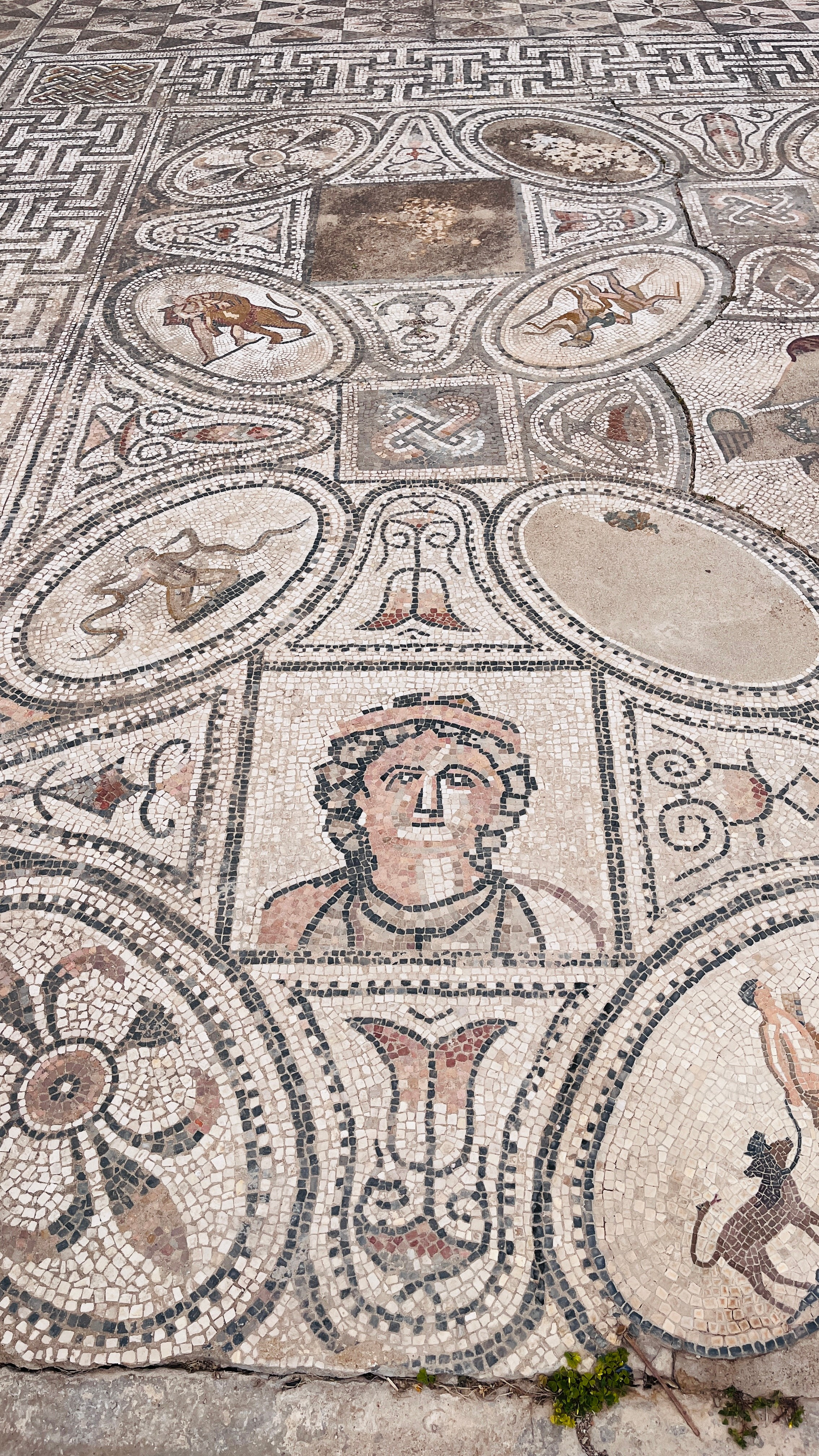 Северная Африка: Тунис, Марокко. Фотограф в Хабаровске. Фотография за 24 часа