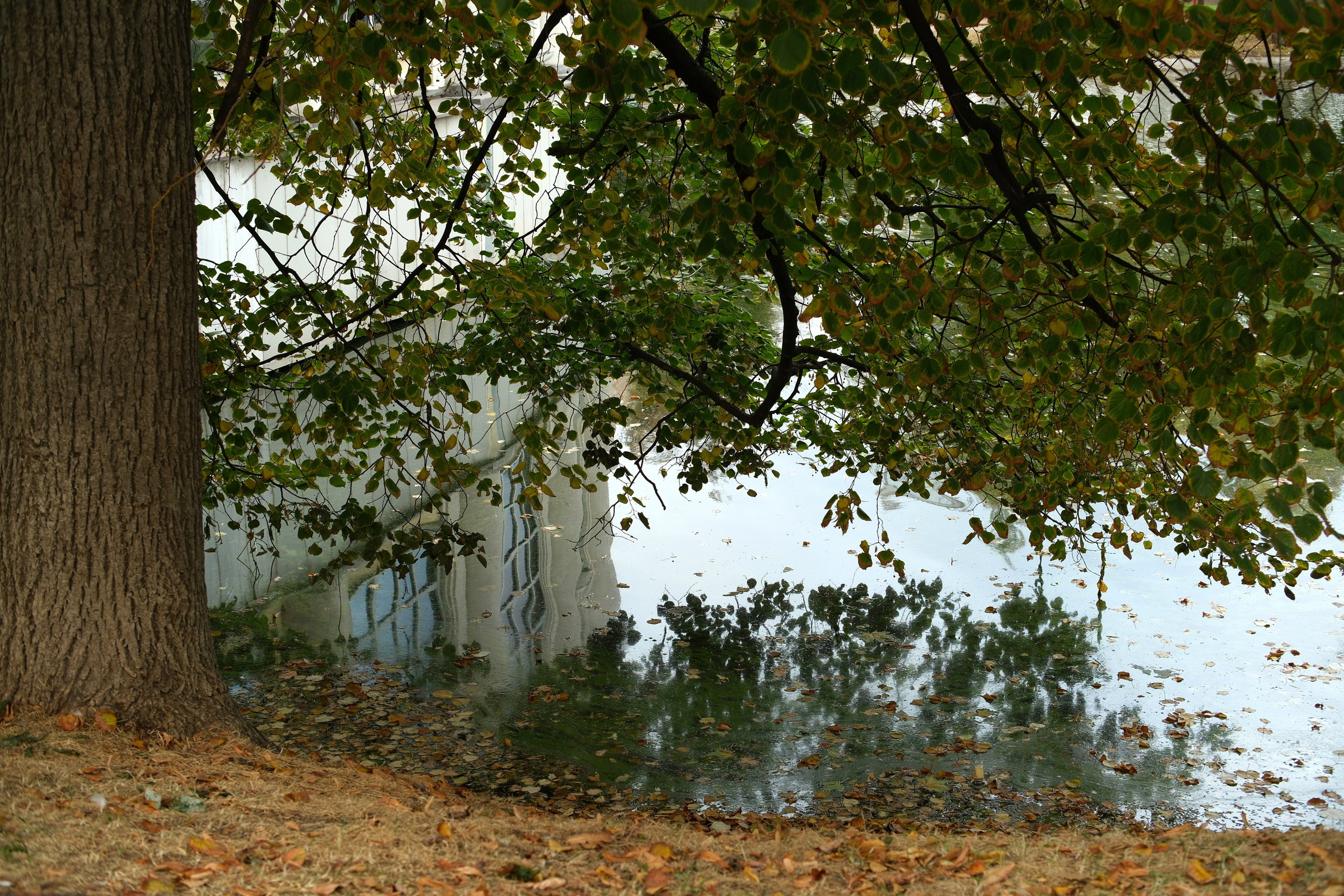 Сентябрь 2025. Улица, люди, жизнь…