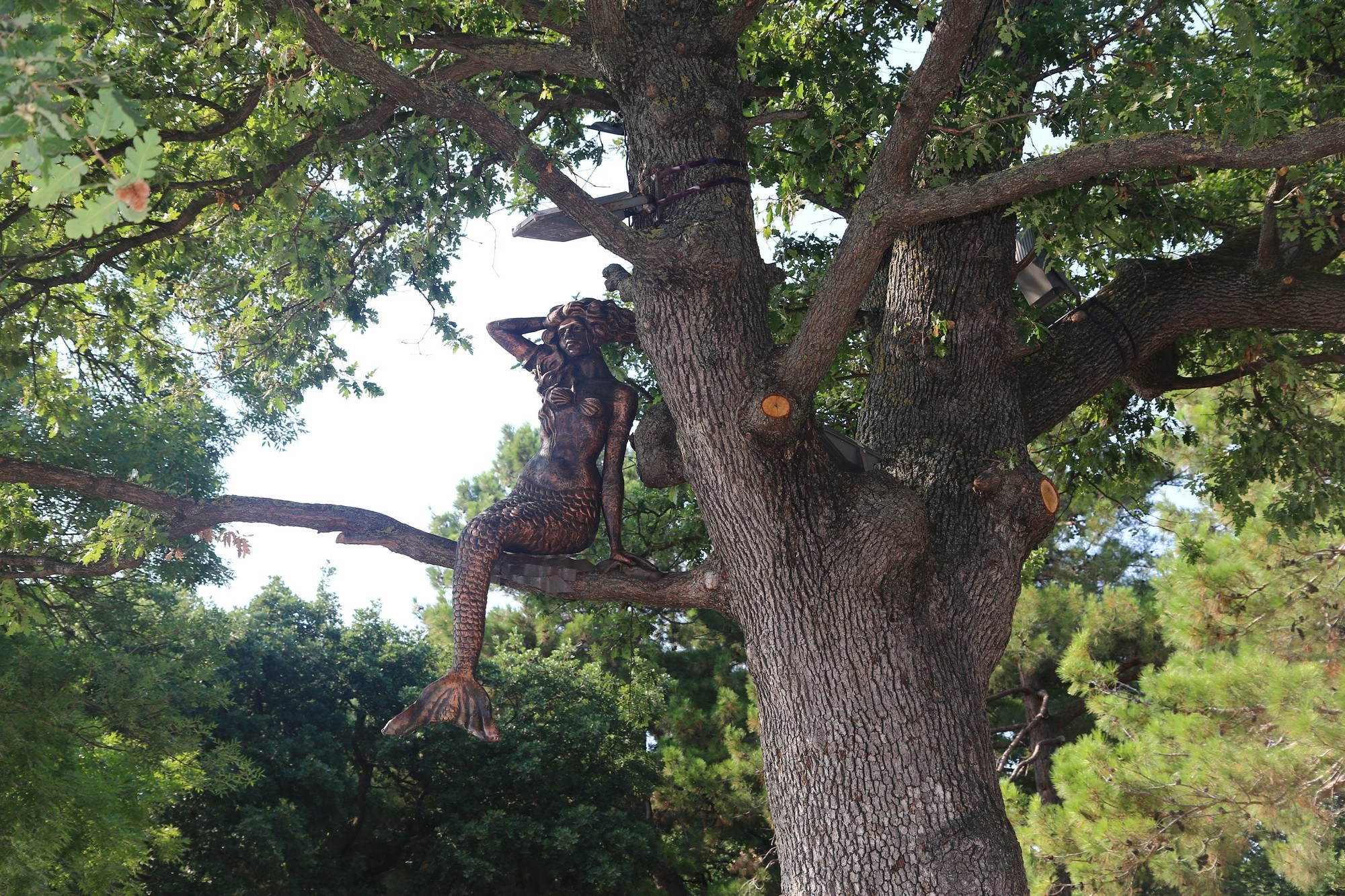 Геленджик 2016 г. Улица, люди, жизнь…