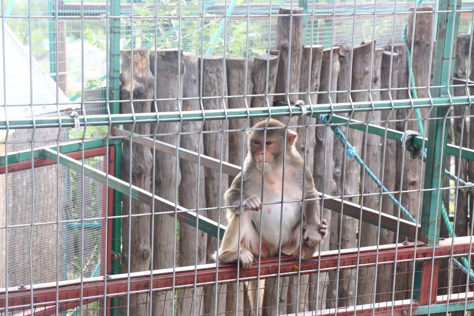 Геленджик 2016 г. Улица, люди, жизнь…