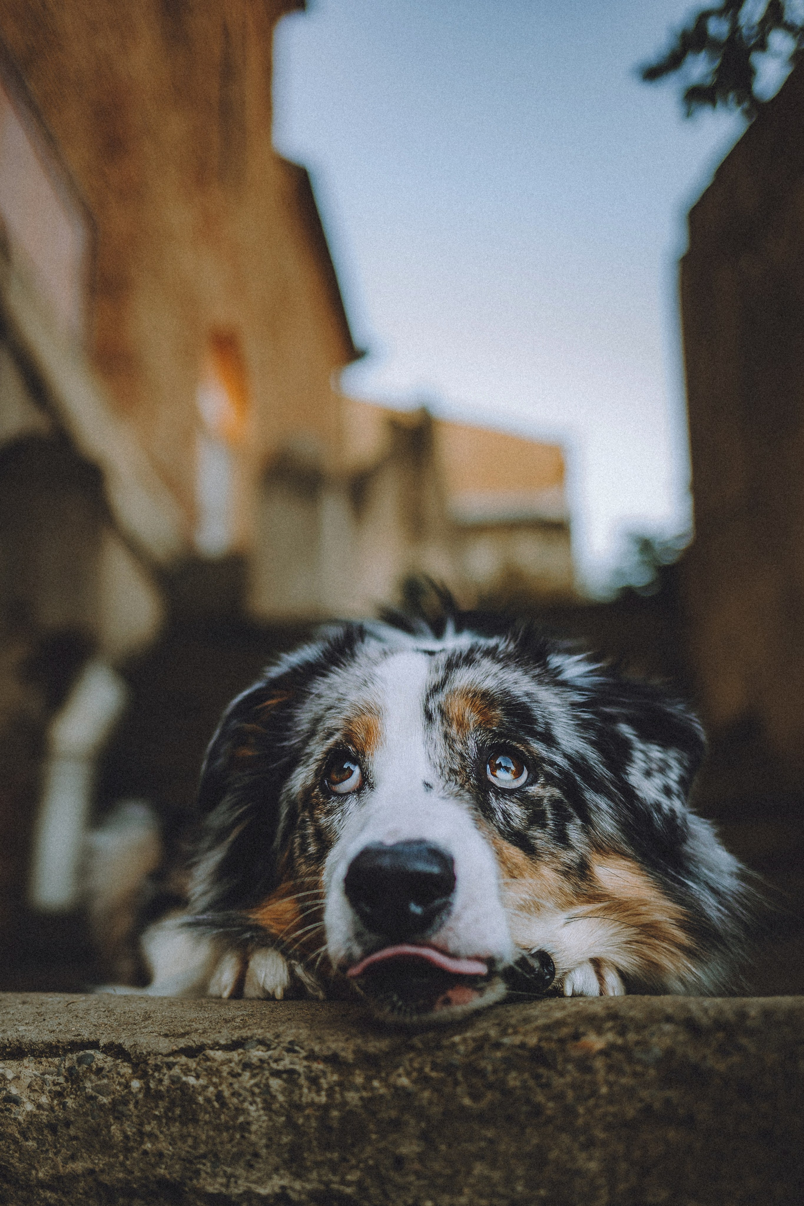 Саша, Рома и Один