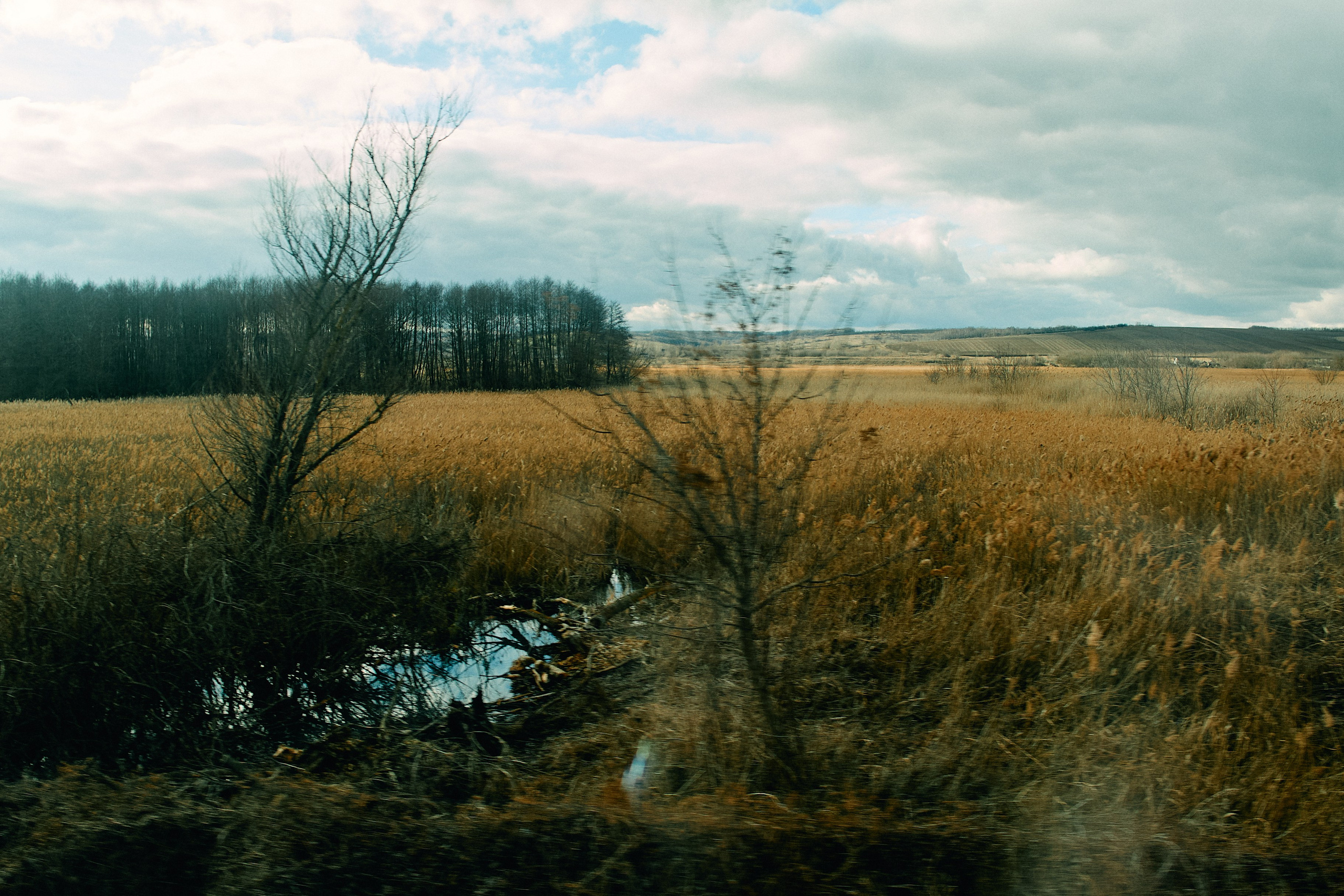 Юг России. Профессиональный Фотограф во Владимире, в Москве и в Суздале — Полина Романычева