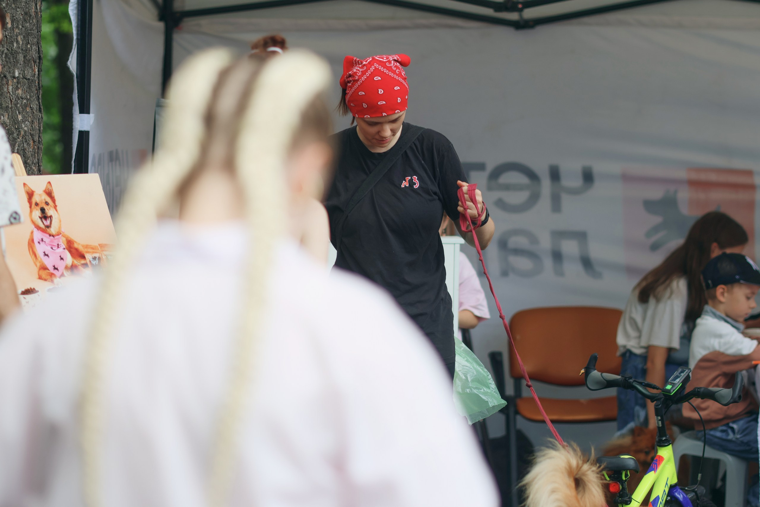 Четыре Лапы. Свадебный и репортажный фотограф Дмитрий Кононенко