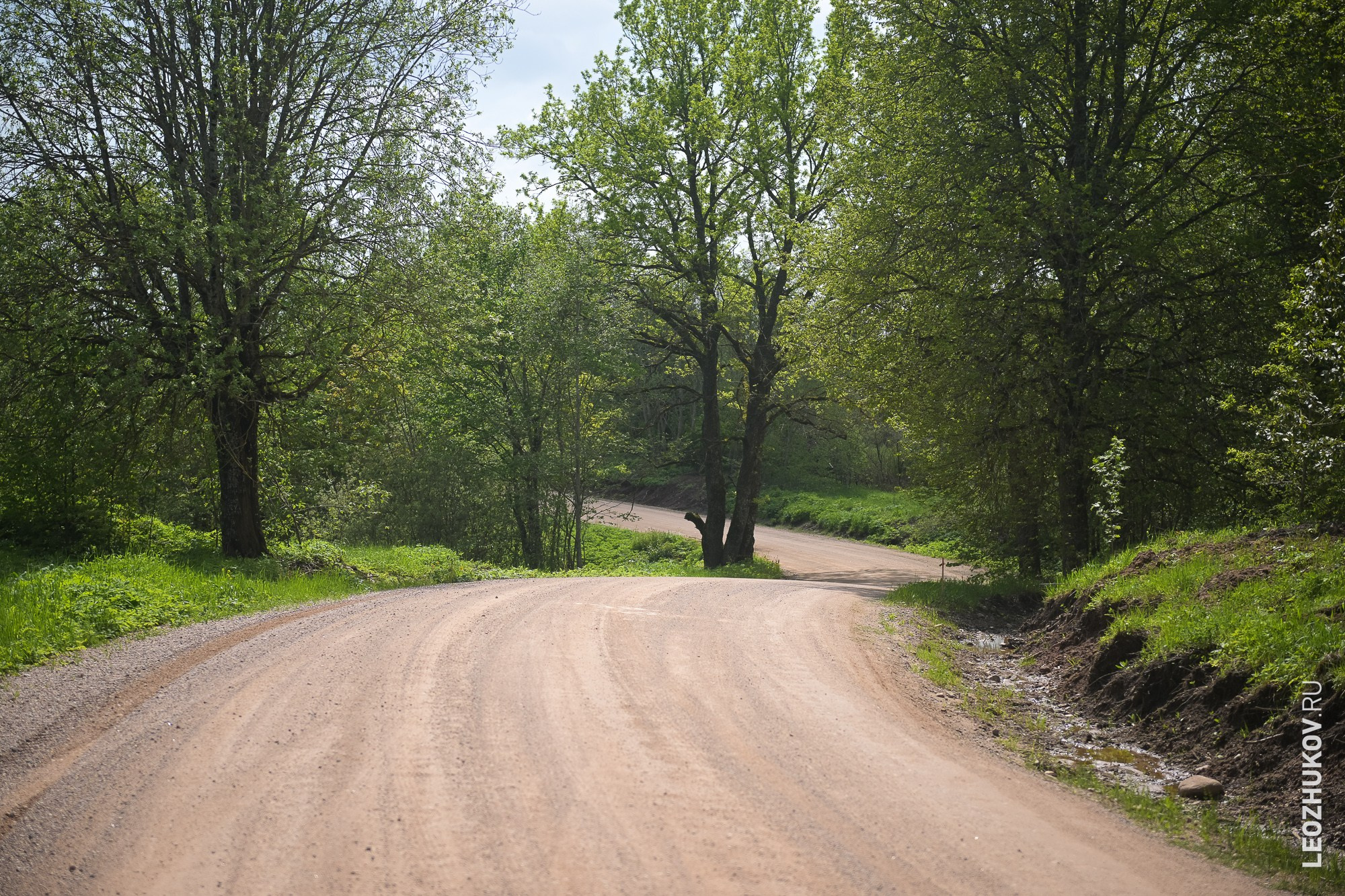 Rally Pushkinskie gory 2025. Sports photographer Leonid Zhukov