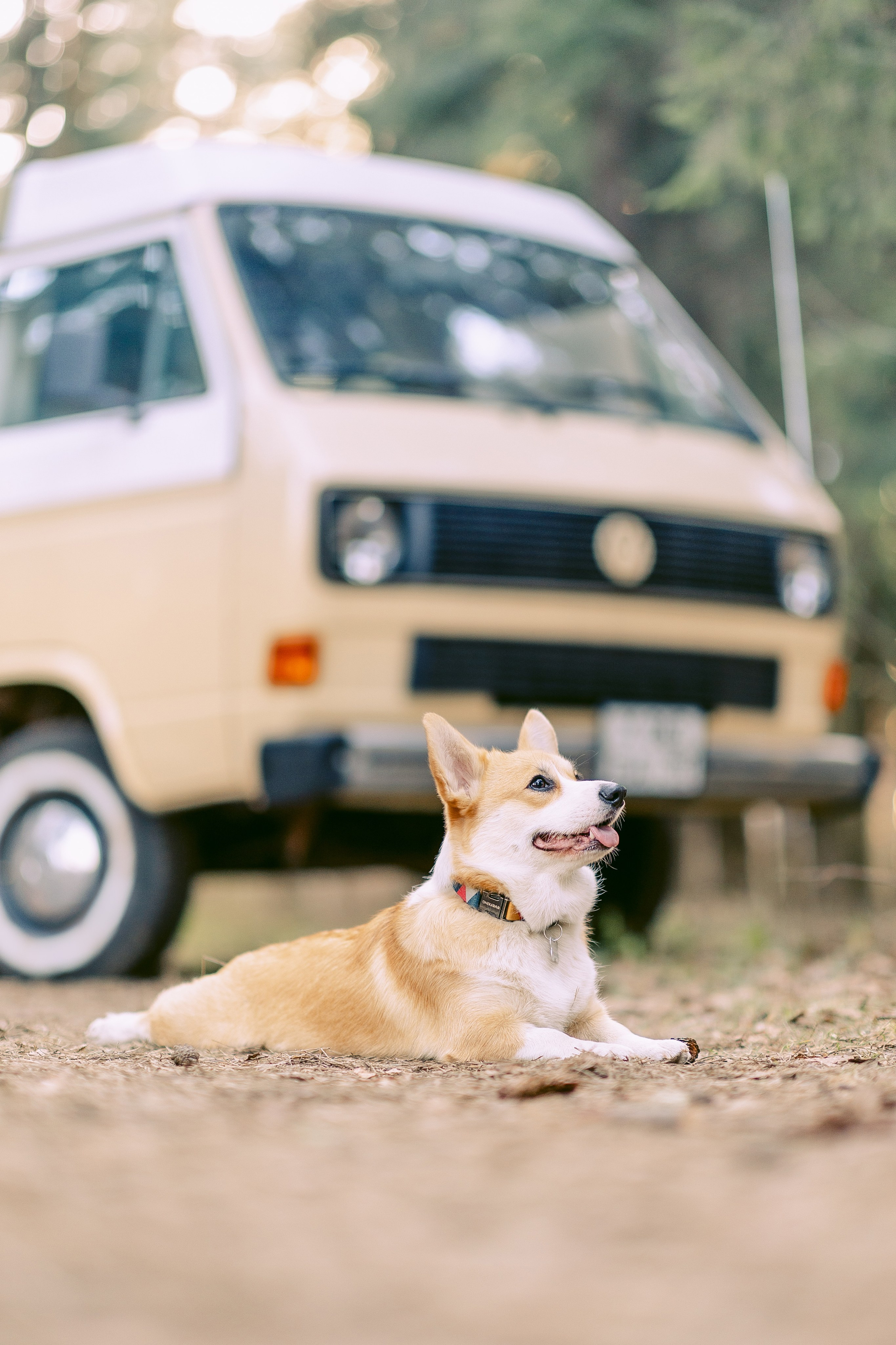Фотограф лавстори Love story. Фотограф Москва — Павел Михайлов