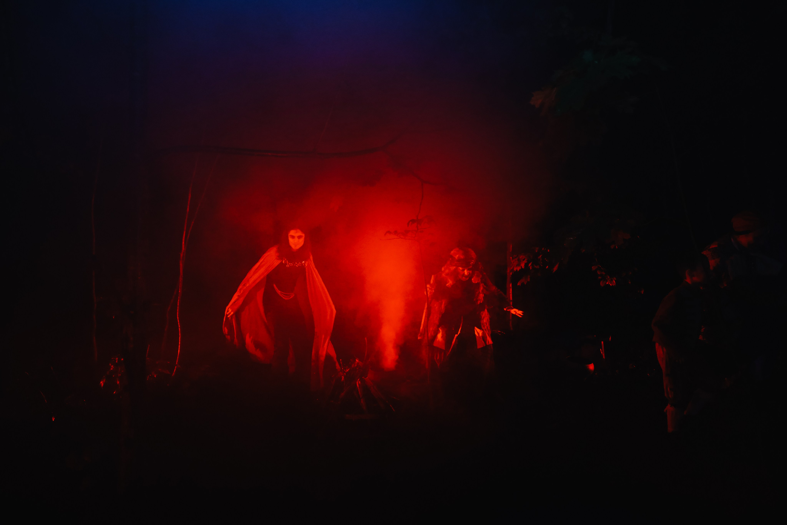 Иммерсивное шоу «Пушкин.Суйда» 2022. Свадебный и репортажный фотограф в Санкт-Петербурге