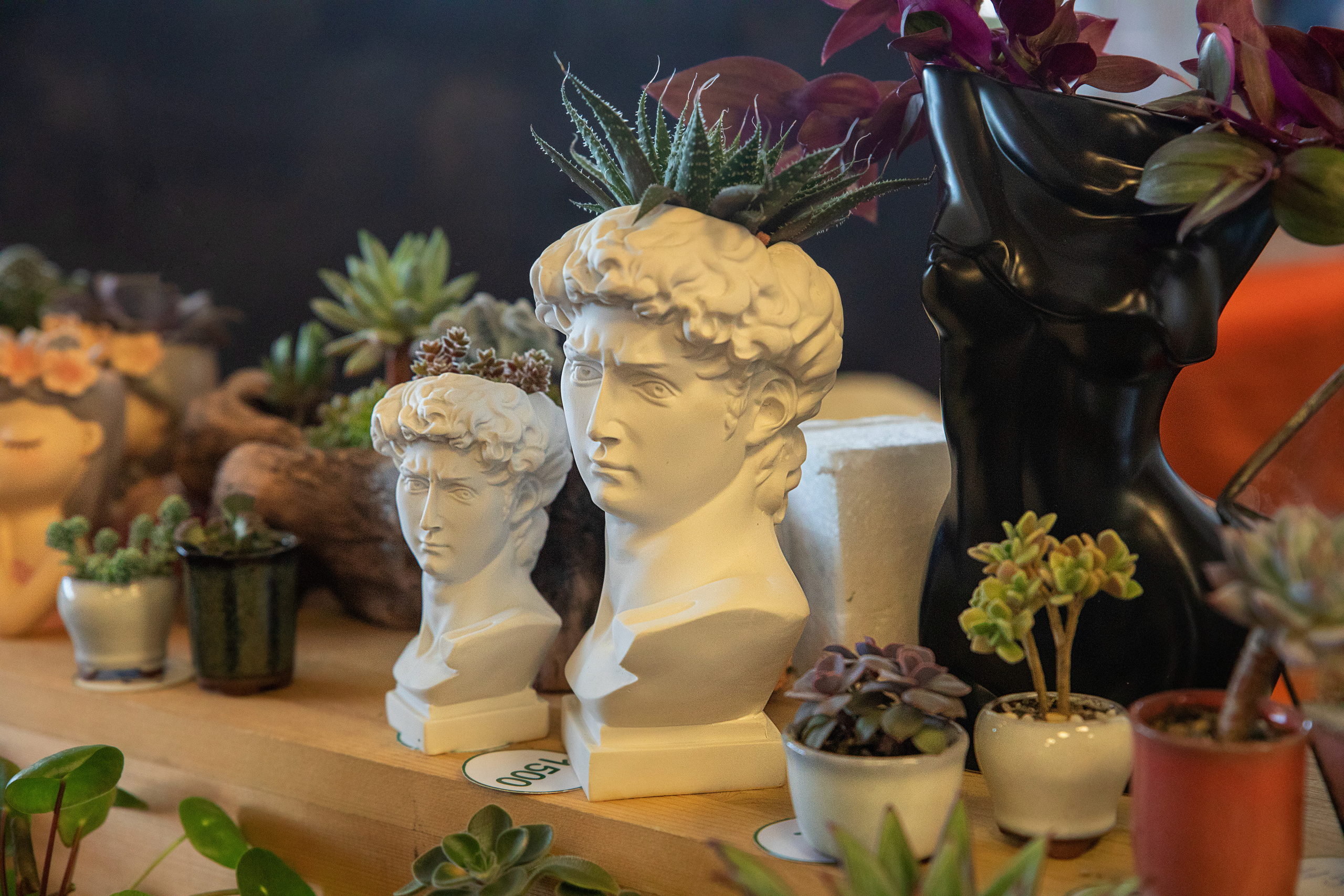 Выставка Экзотических Животных. Семейный и частный фотограф во Владивостоке