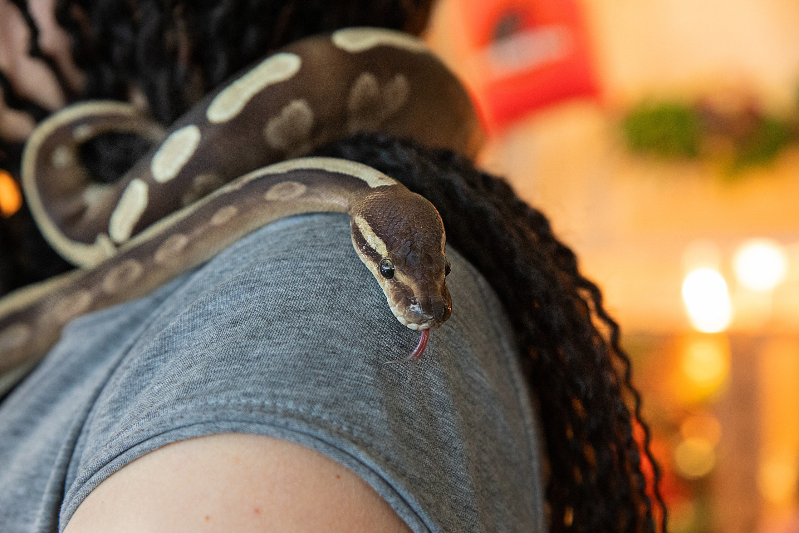 Выставка Экзотических Животных. Семейный и частный фотограф во Владивостоке