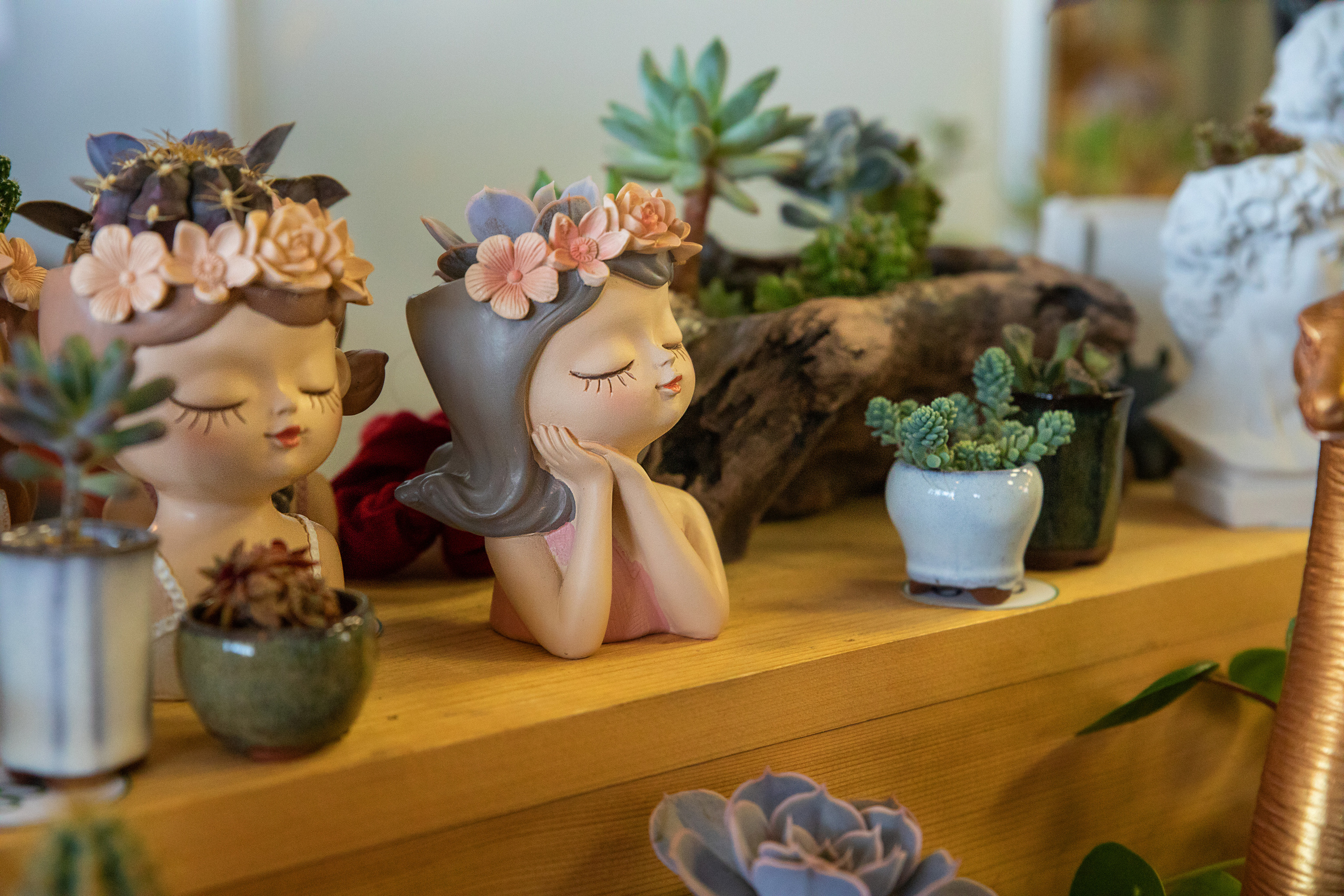 Выставка Экзотических Животных. Семейный и частный фотограф во Владивостоке