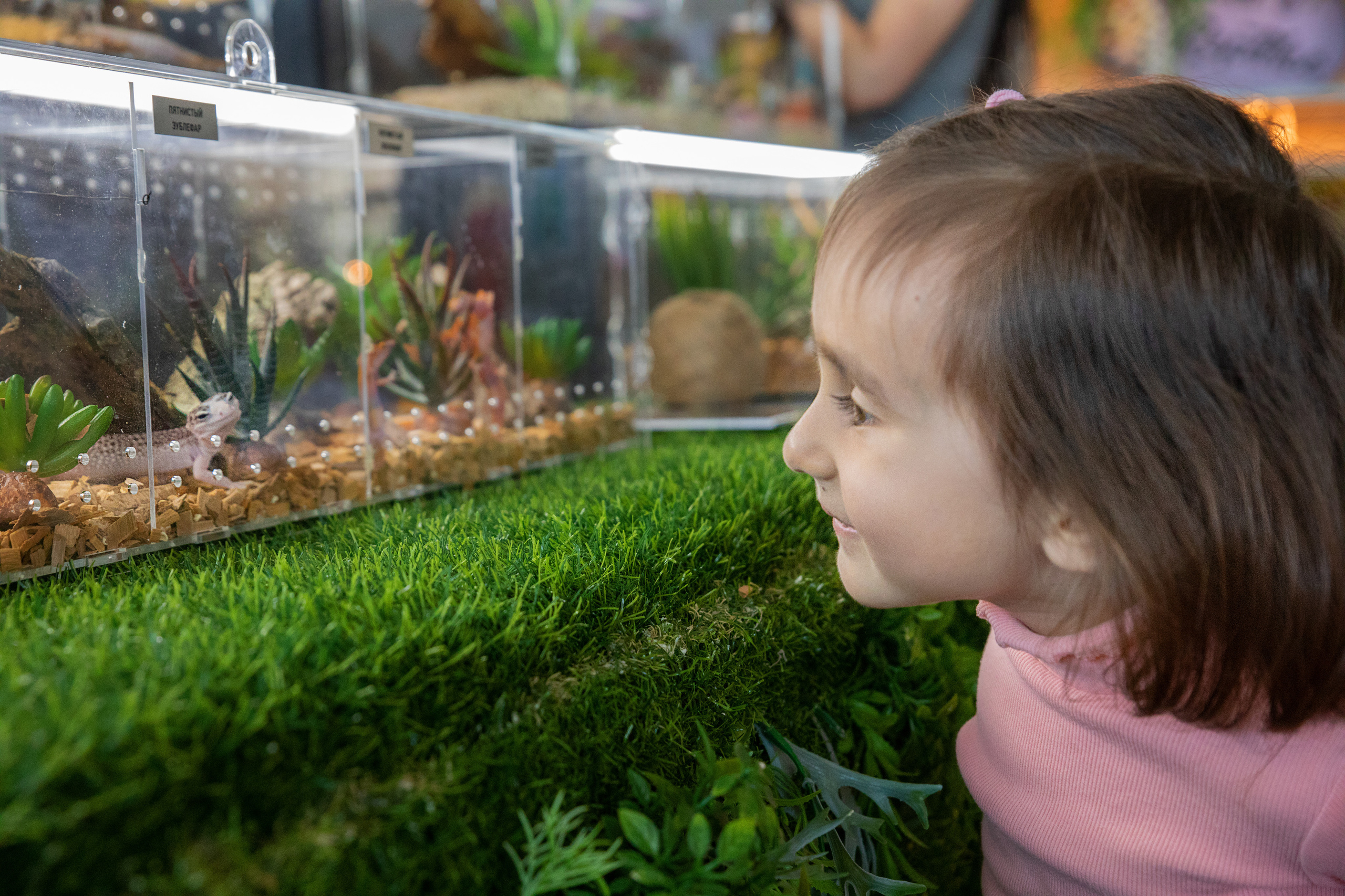 Выставка Экзотических Животных. Семейный и частный фотограф во Владивостоке