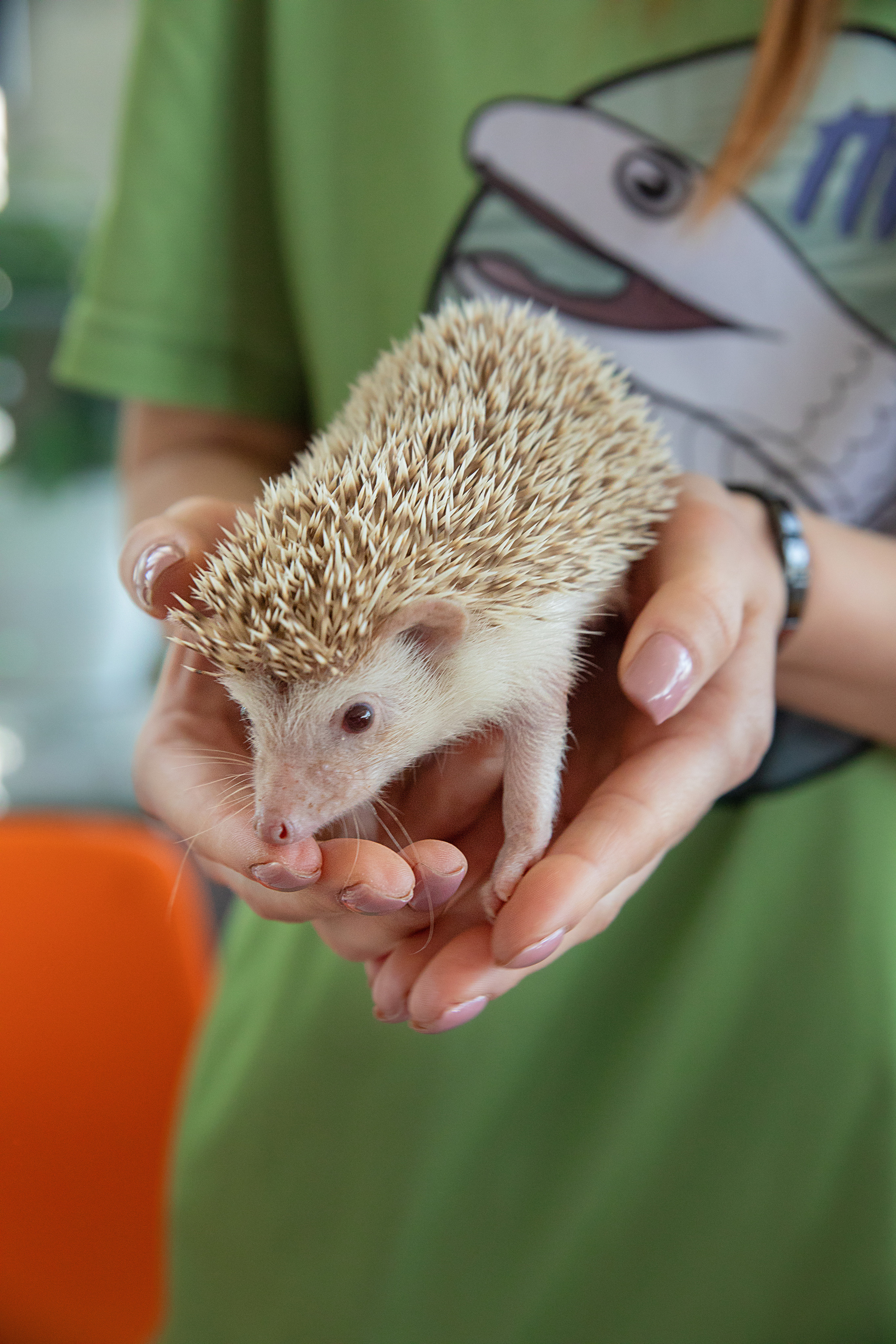 Выставка Экзотических Животных. Семейный и частный фотограф во Владивостоке