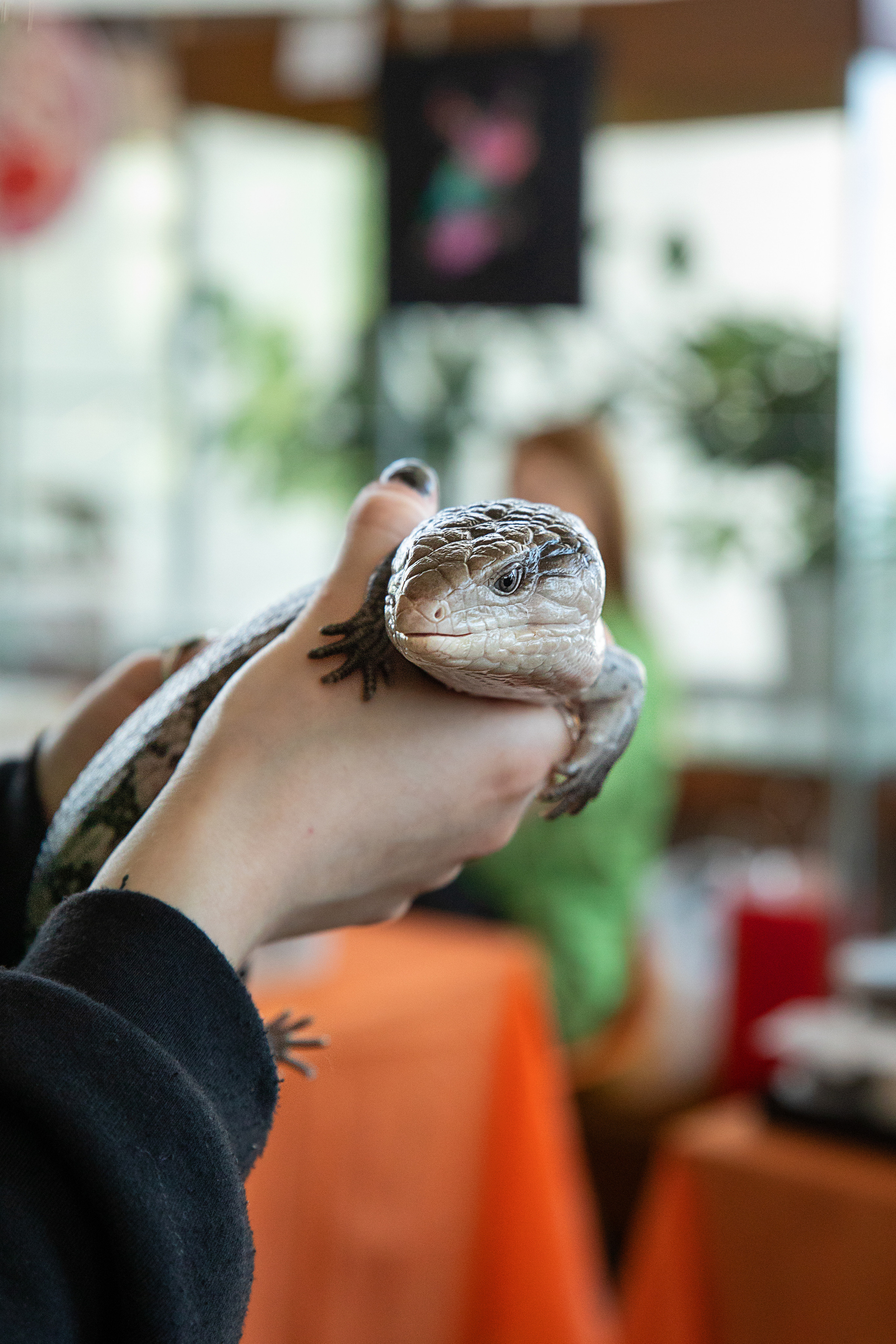 Выставка Экзотических Животных. Семейный и частный фотограф во Владивостоке