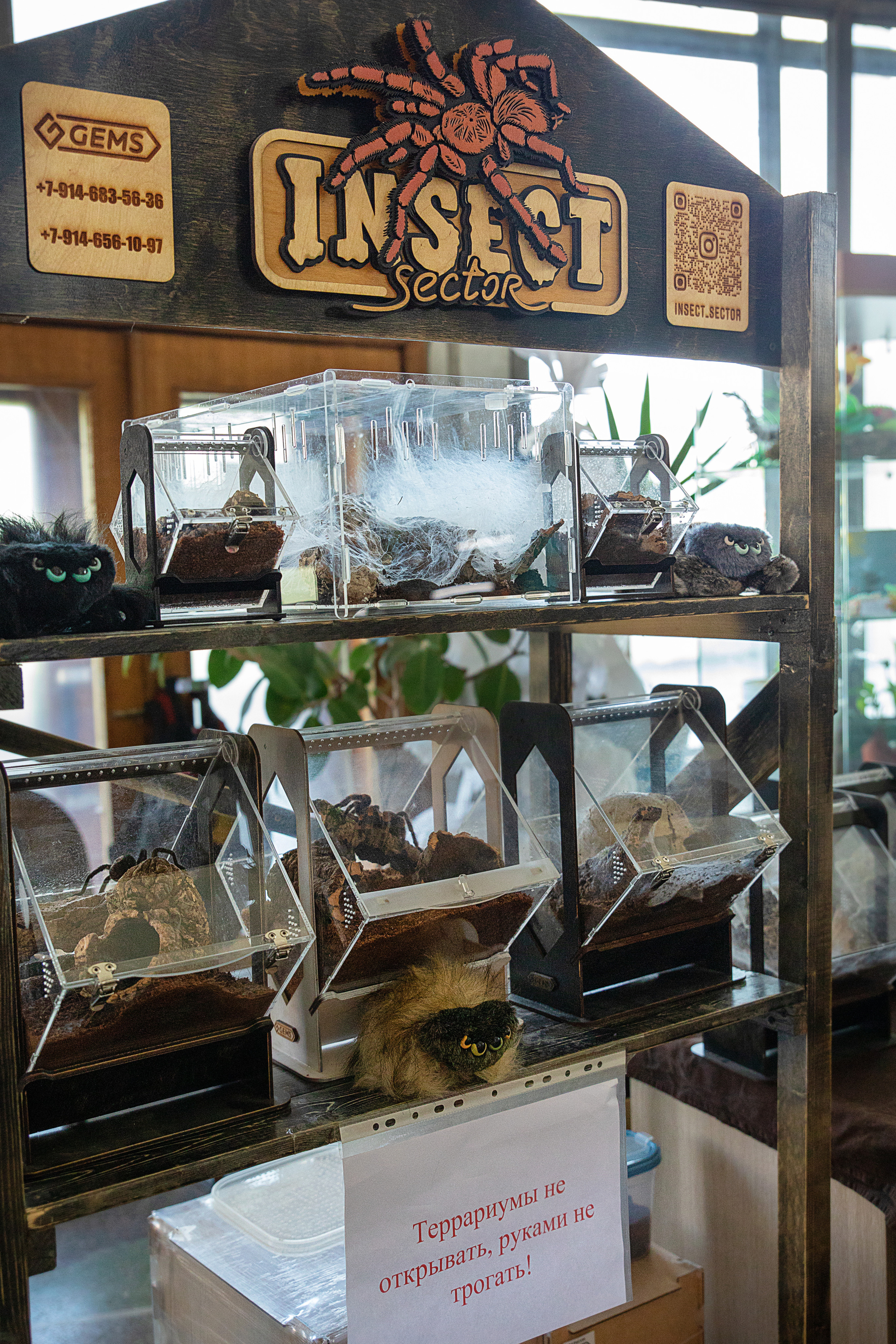 Выставка Экзотических Животных. Семейный и частный фотограф во Владивостоке