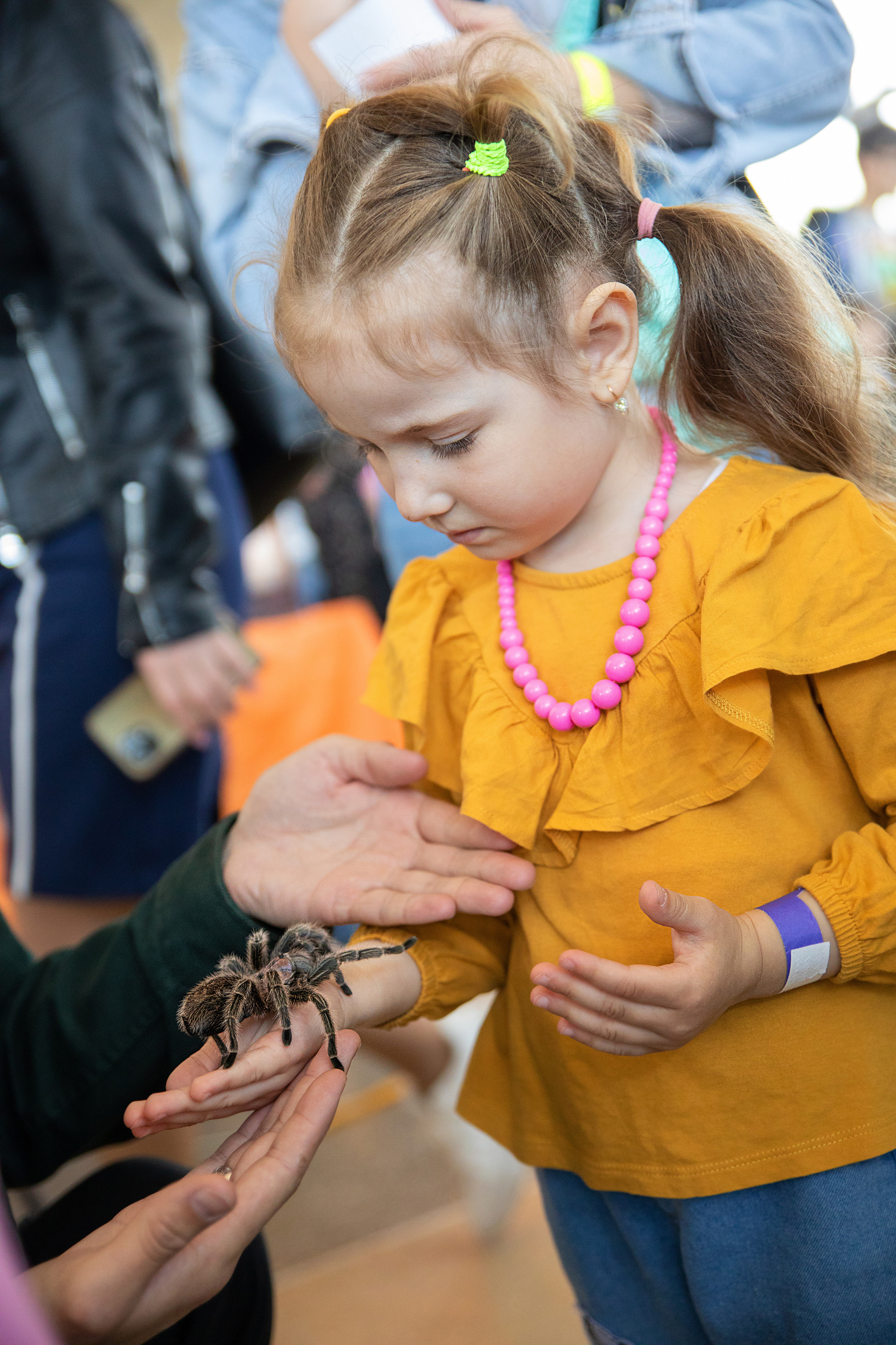 Выставка Экзотических Животных. Семейный и частный фотограф во Владивостоке