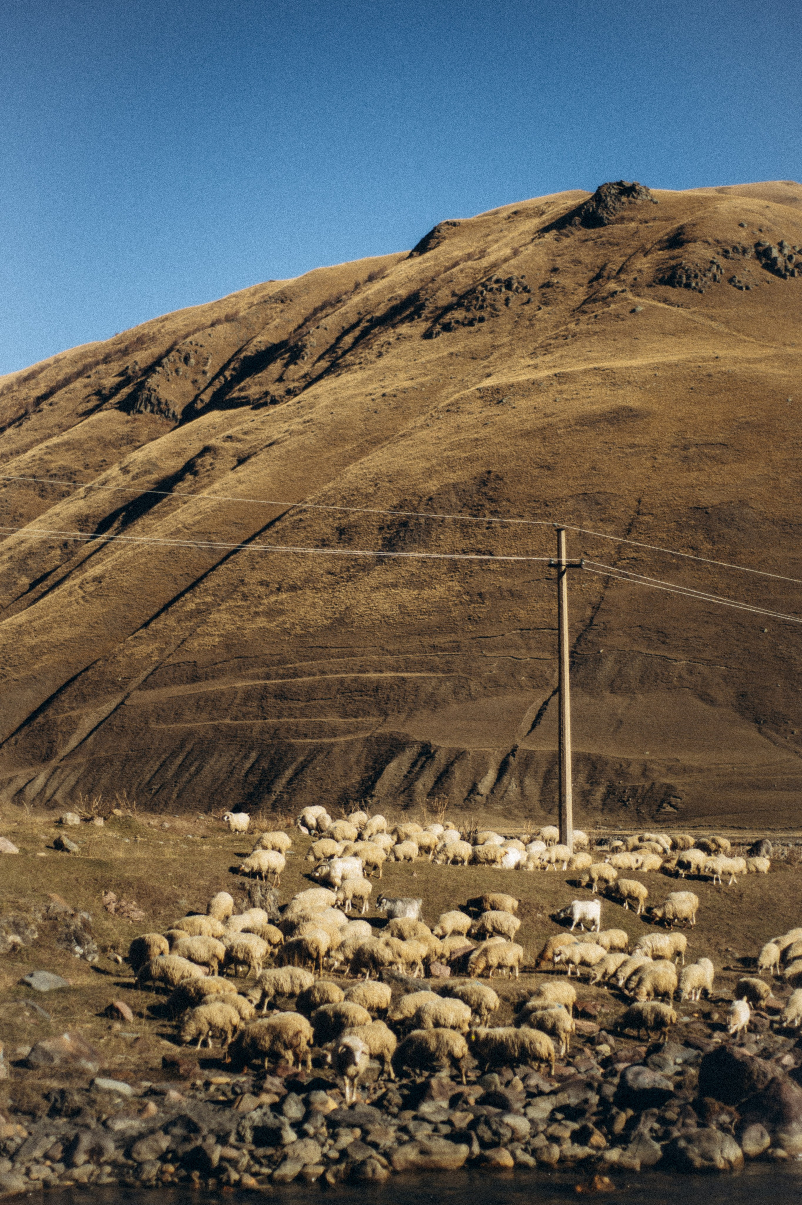 Долина Труссо, Грузия 🇬🇪 «PVD Club». Anita_photo