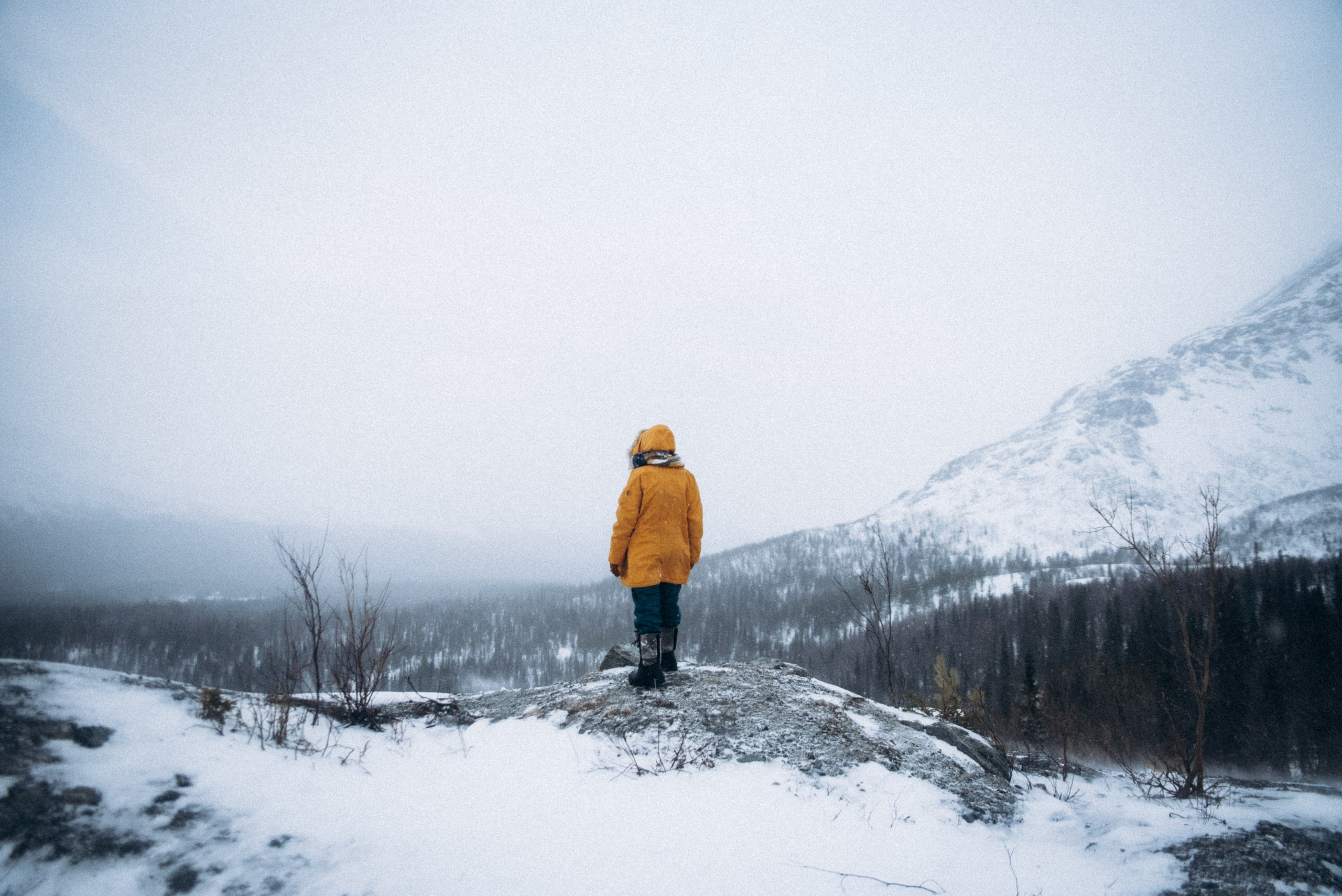 Териберка, Мурманск, Россия 🇷🇺. Anita_photo