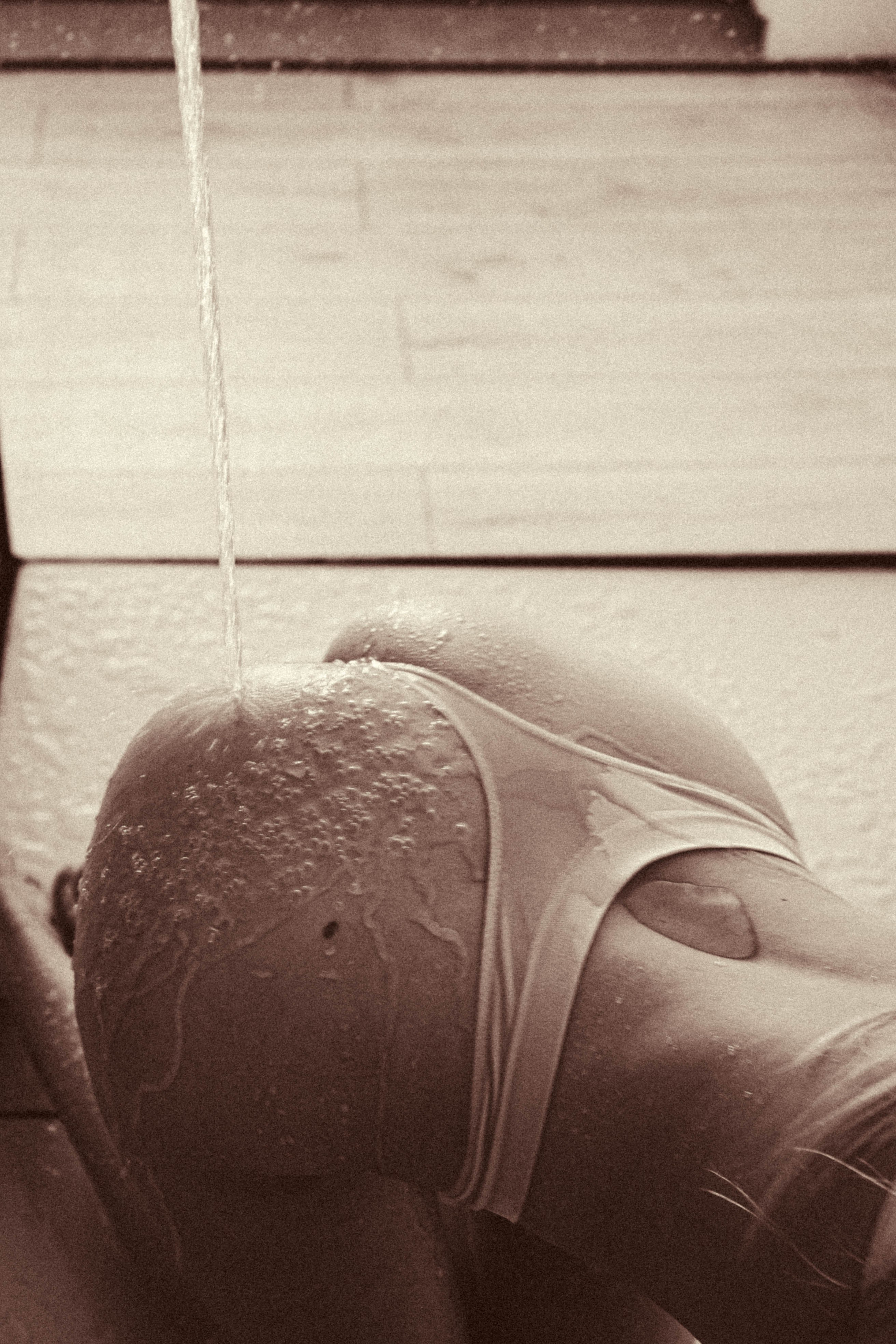 Студийная для Анастасии. Профессиональный фотограф, Санкт-Петербург — Виктория Богомолова