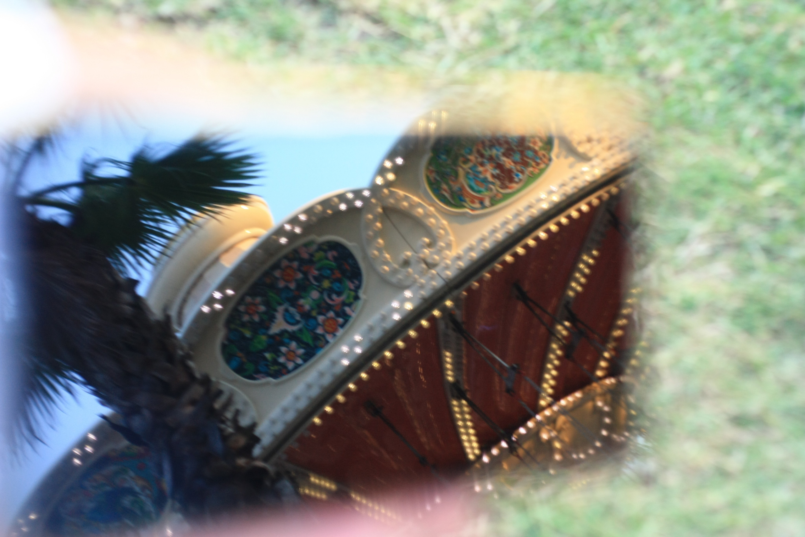 Первые кадры. Сочи — парк. Фотограф Роман Адлер