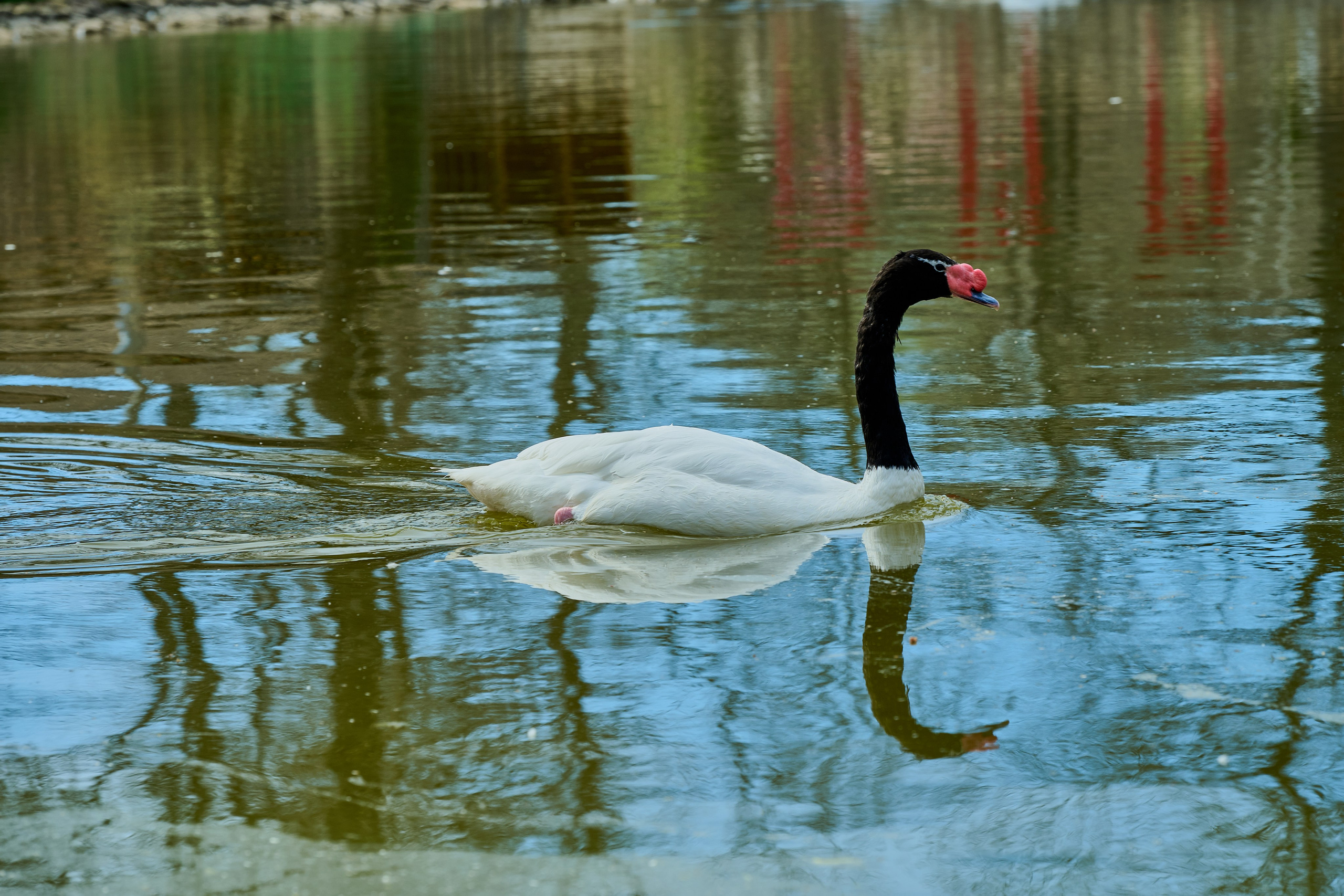 Мелитополь. Россия. Апрель 2024. Фотограф Роман Адлер