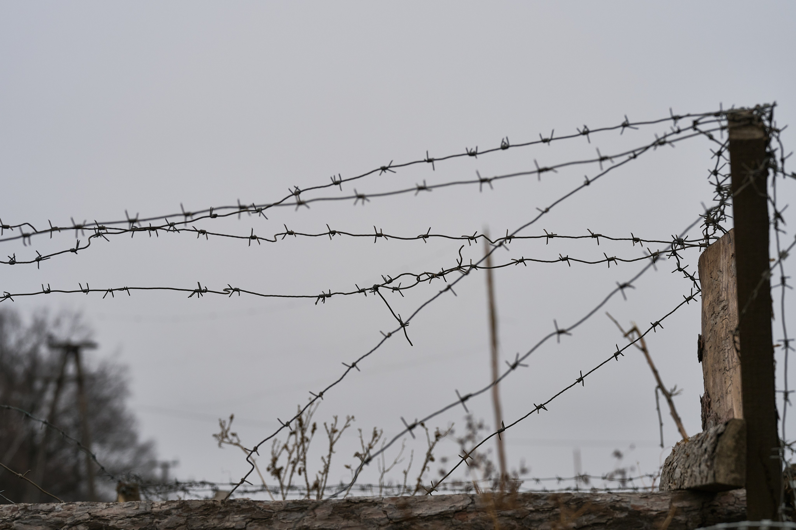 Краснореченское (Луганская область). Ноябрь 2024. Фотограф Роман Адлер