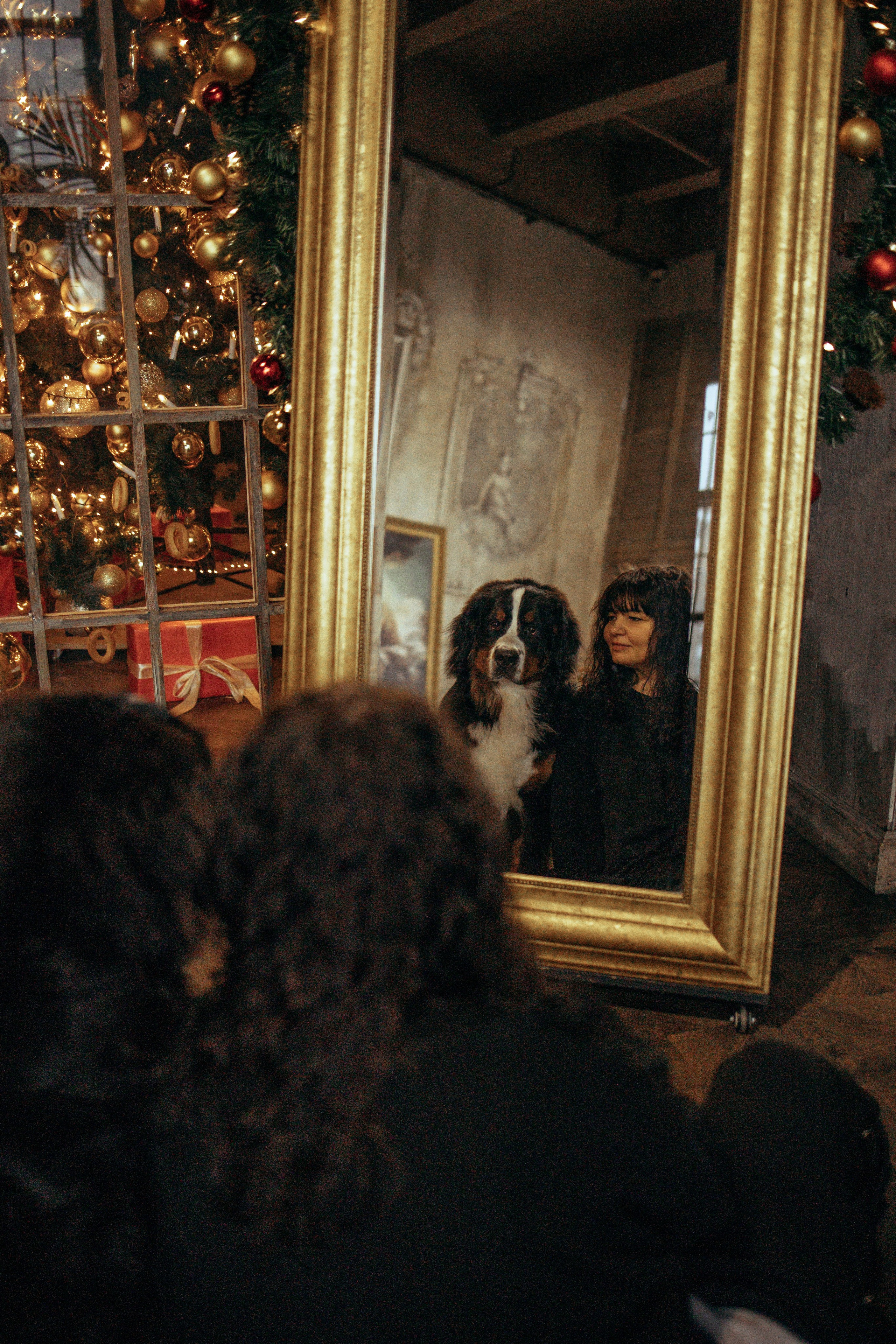 Съемка в студии с собакой. Анастасия Белаш