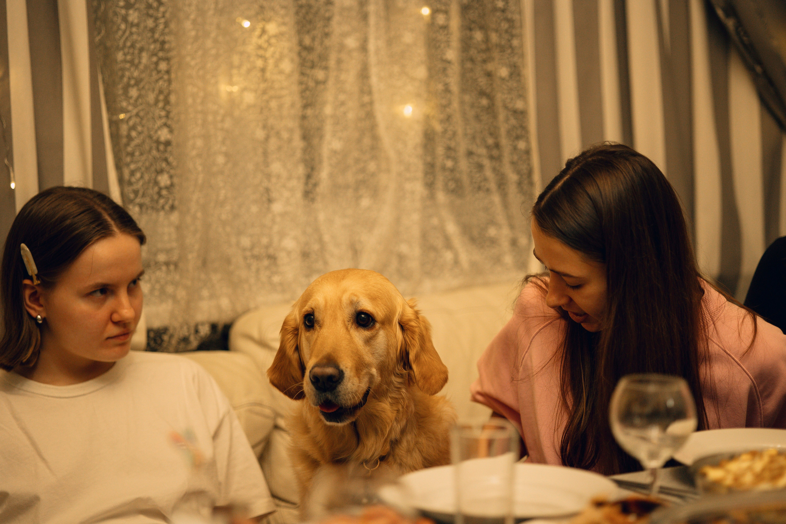 Корпоратив «DogCamp». Анастасия Белаш