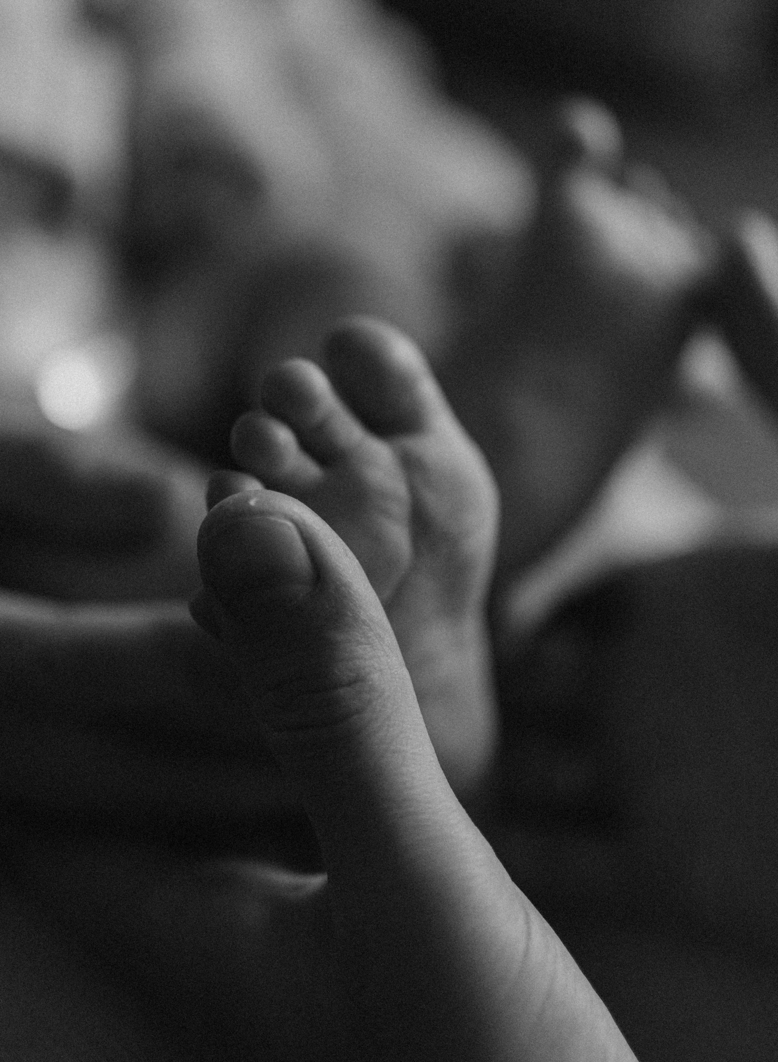 Руслан, Катя и Милана. Семейный фотограф Москва Валерия Белова