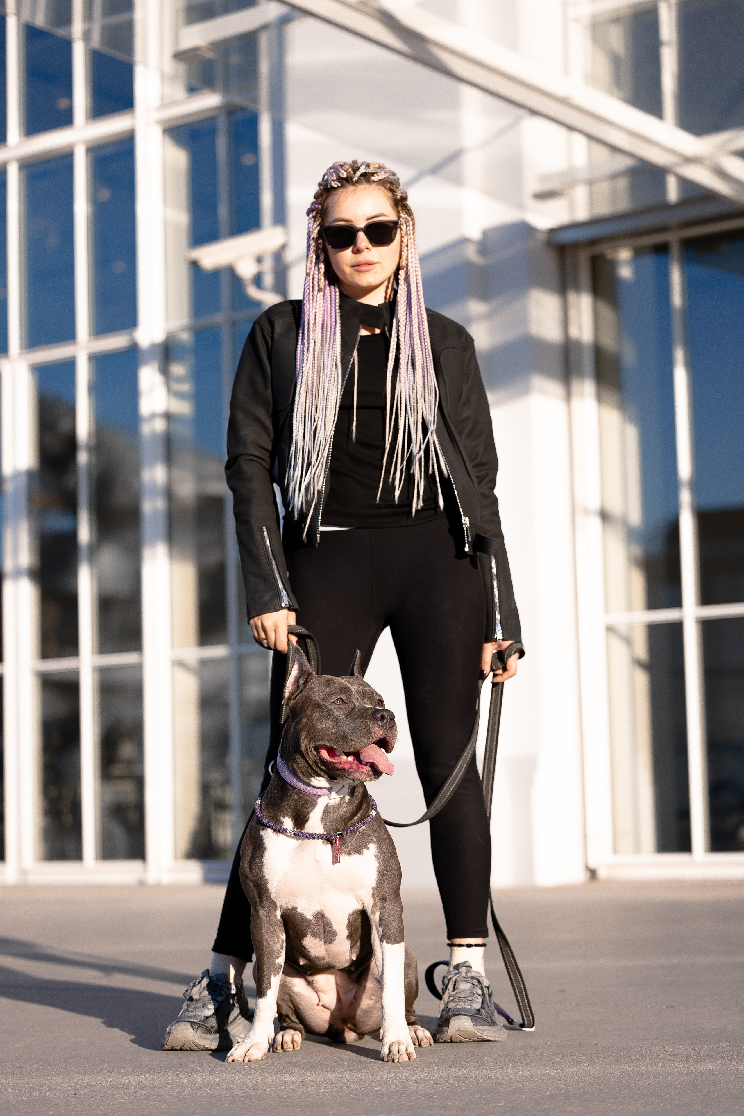 Катя, Леша, Трой и Лея. Фотограф и видеограф анималист Аганина Дарья