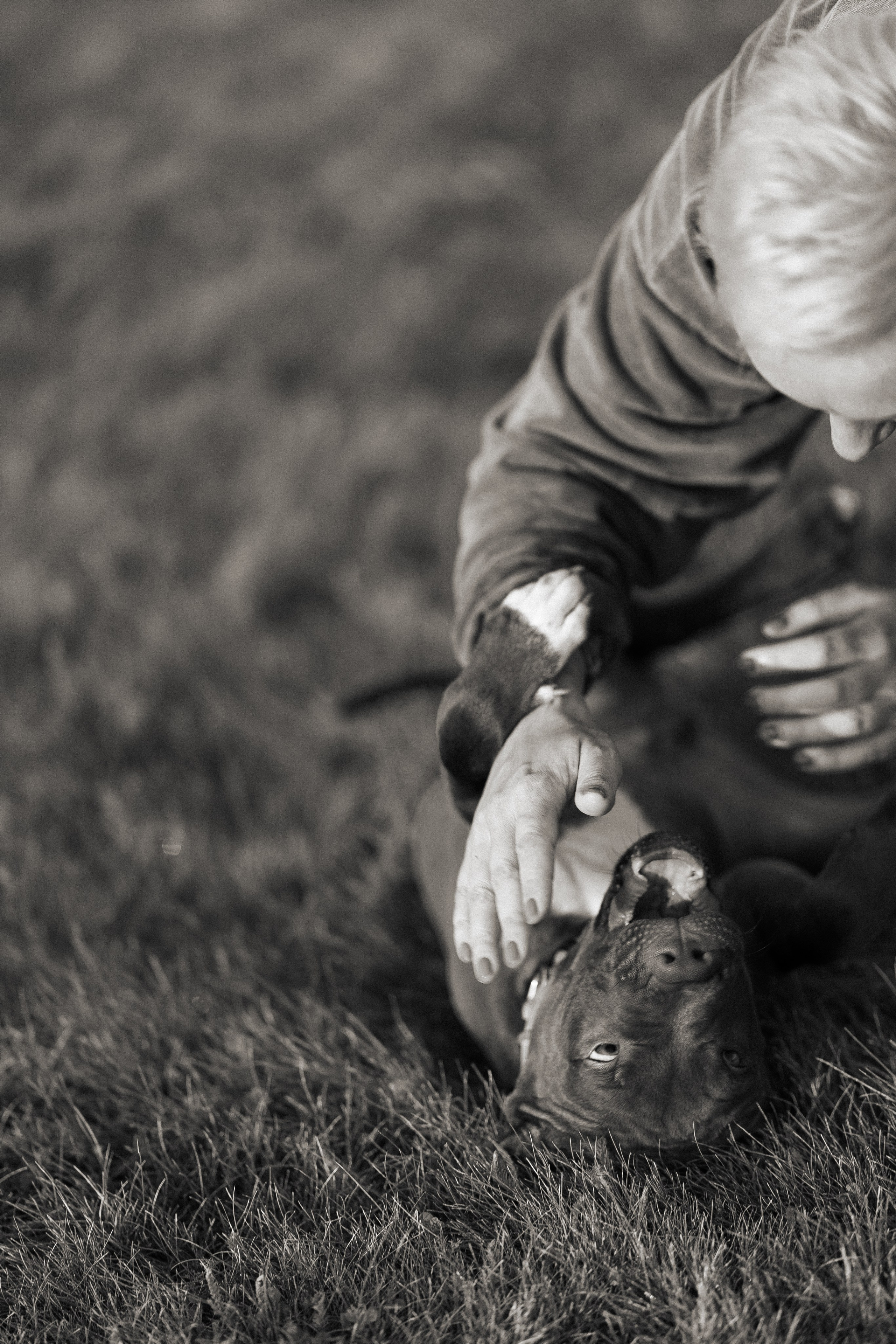 Елена и Хан. Фотограф и видеограф анималист Аганина Дарья