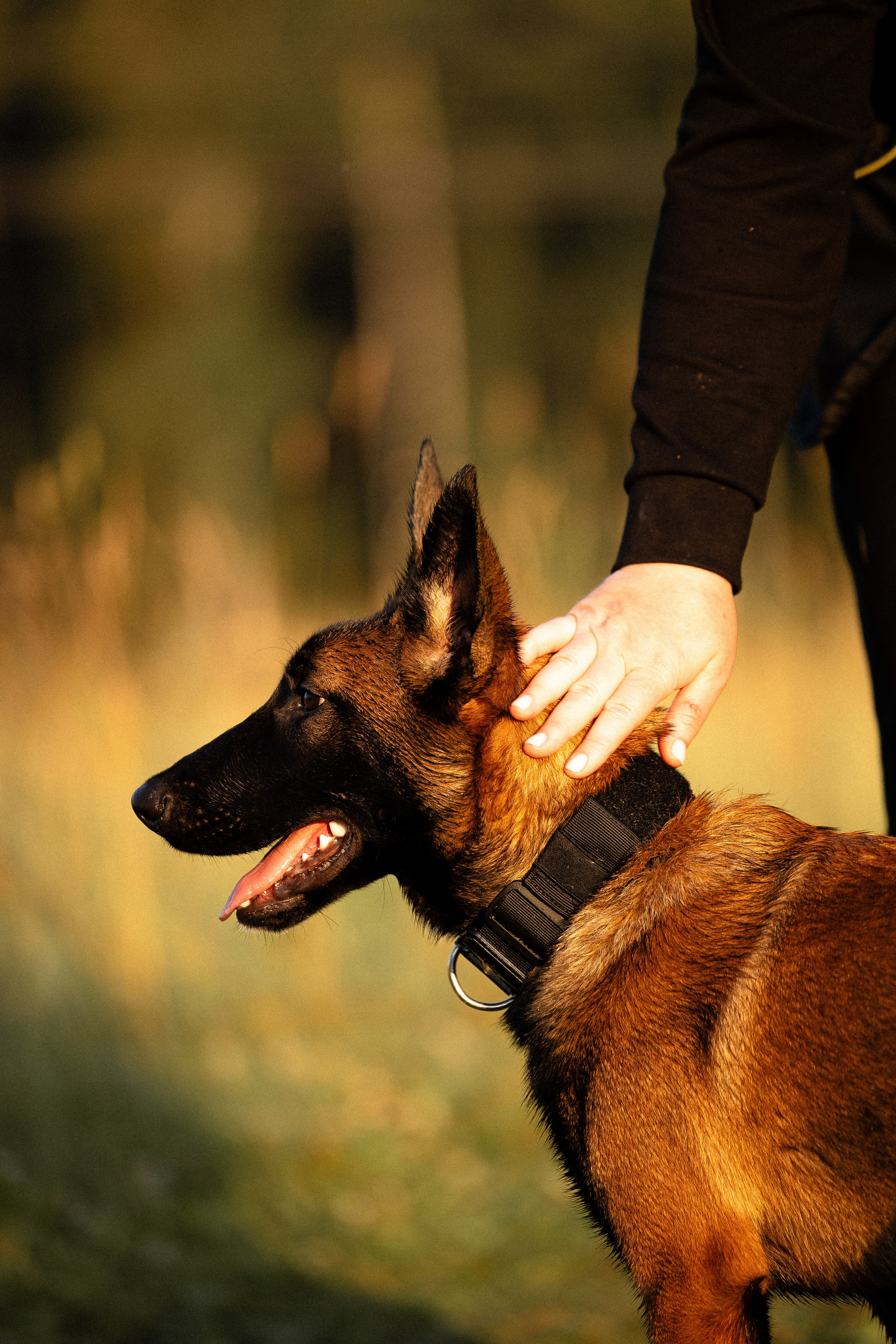Галина и Лоя. Фотограф и видеограф анималист Аганина Дарья