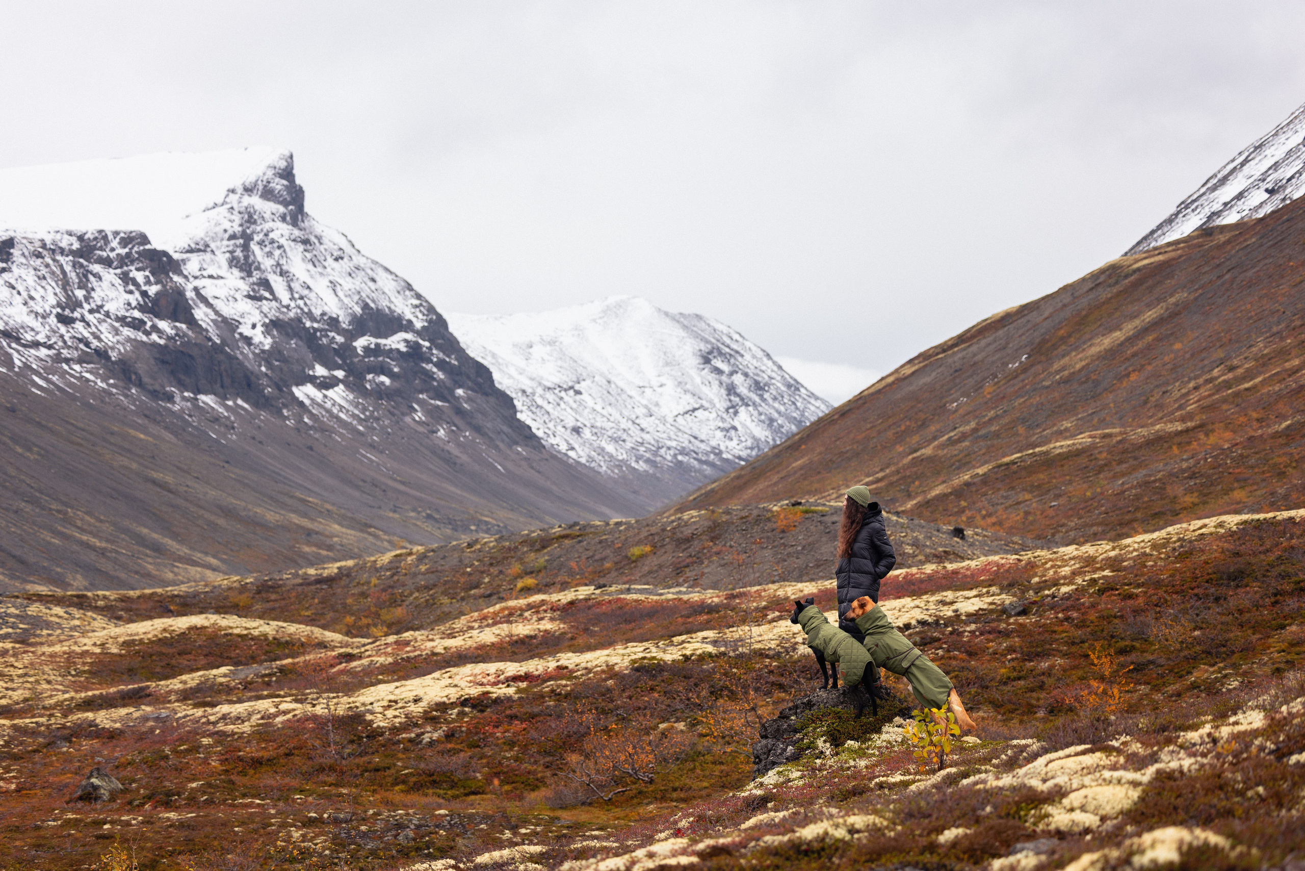 Кольский. Фотограф и видеограф анималист Аганина Дарья