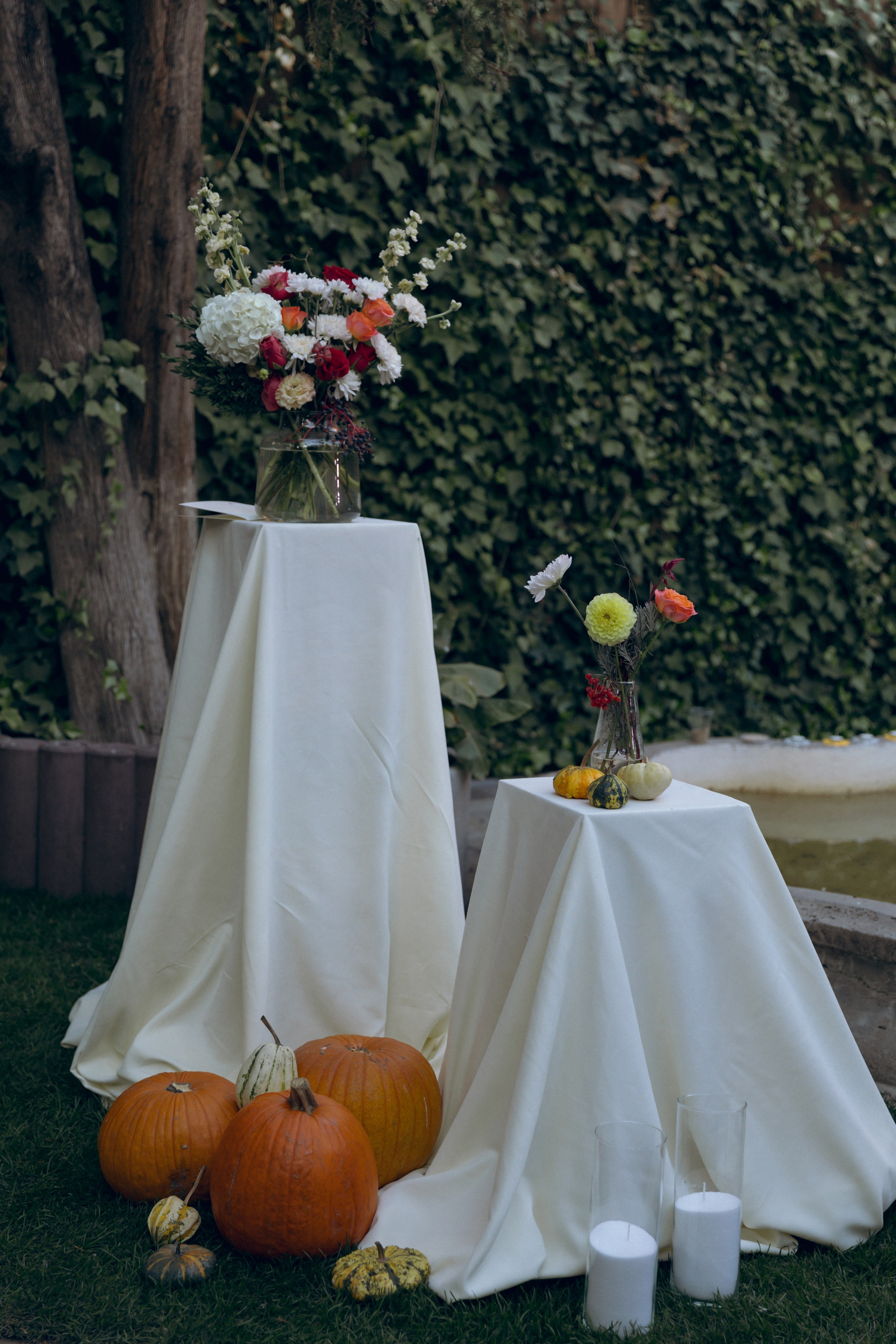 Николай и Юлия, 26 октября 2024. Свадебный  и семейный фотограф в Краснодаре