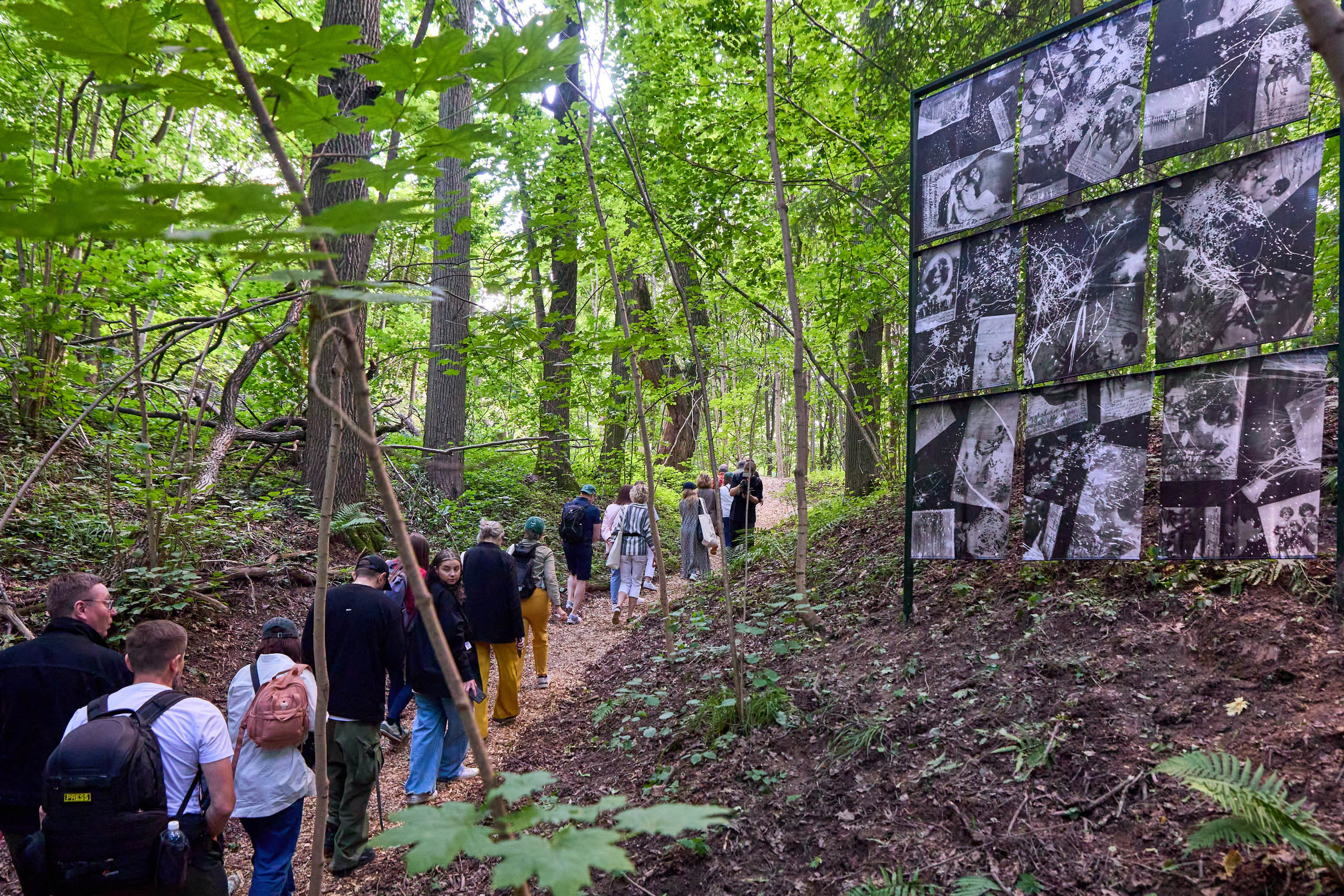 Les is More. Фотограф Иван Недорез