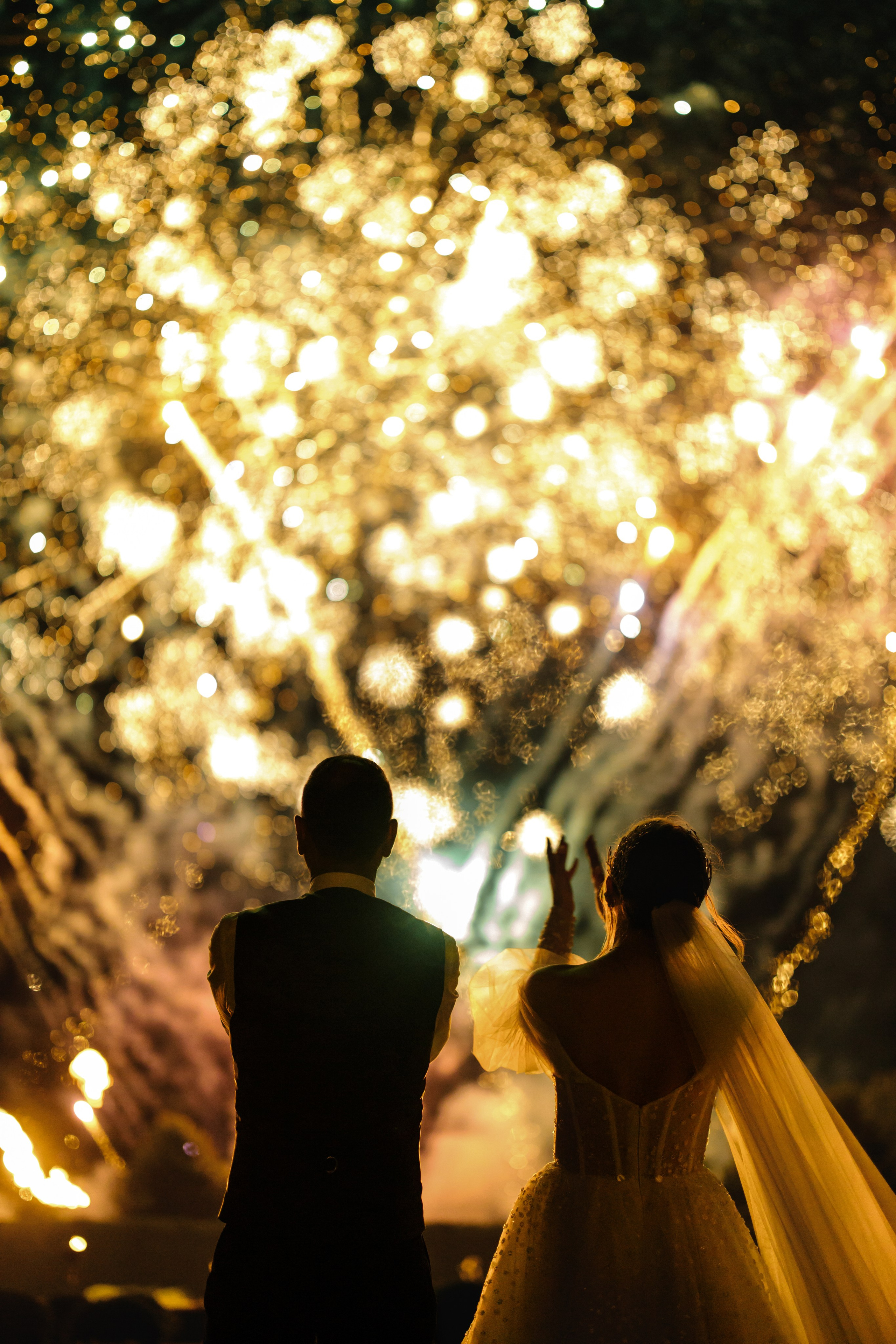 Рохит & Дарья. Организатор- Елена Гаманович. Главная