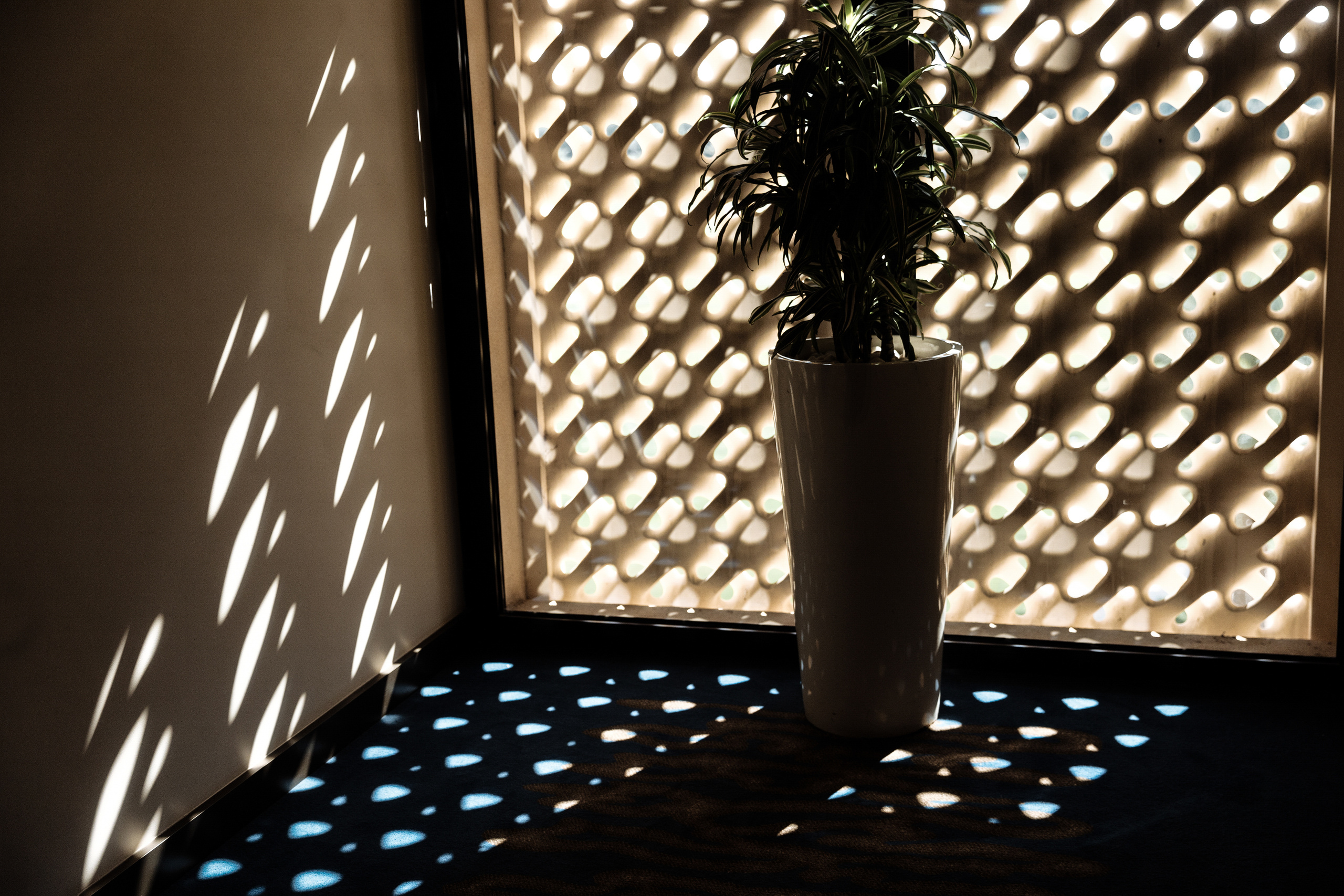 Индийская свадьба Раула и Маду. indian wedding. Rahul and Madu. Day 1 '20. Портфолио свадебного фотографа. Роман Каргаполов