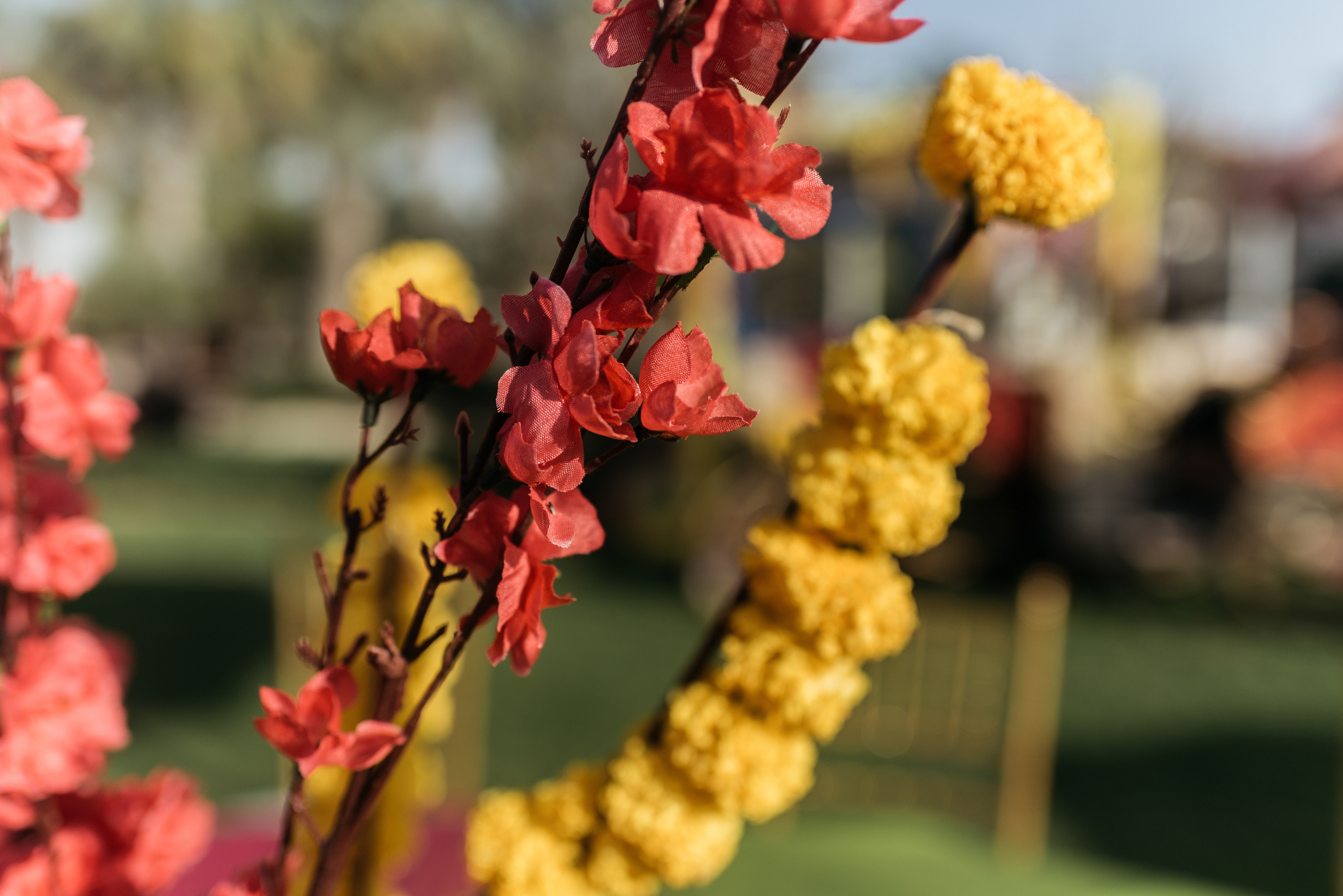 Индийская свадьба Раула и Маду. indian wedding. Rahul and Madu. Day 1 '20. Портфолио свадебного фотографа. Роман Каргаполов