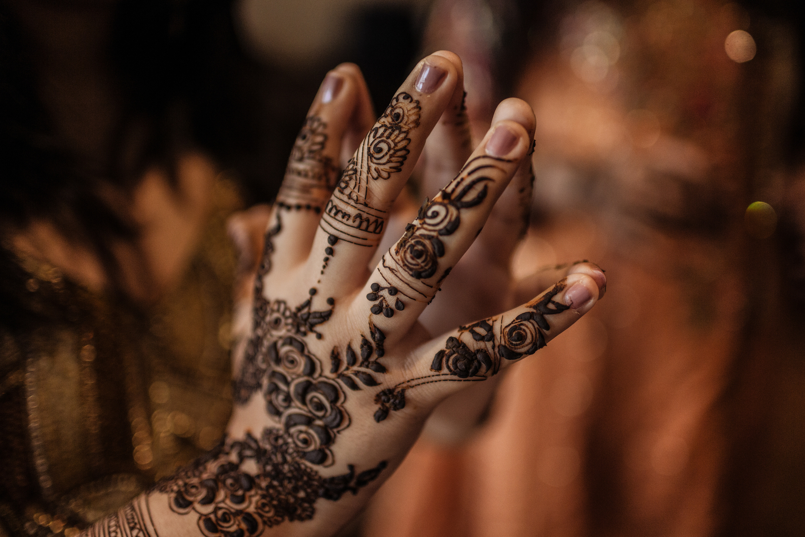 Индийская свадьба Раула и Маду. indian wedding. Rahul and Madu. Day 1 '20. Портфолио свадебного фотографа. Роман Каргаполов