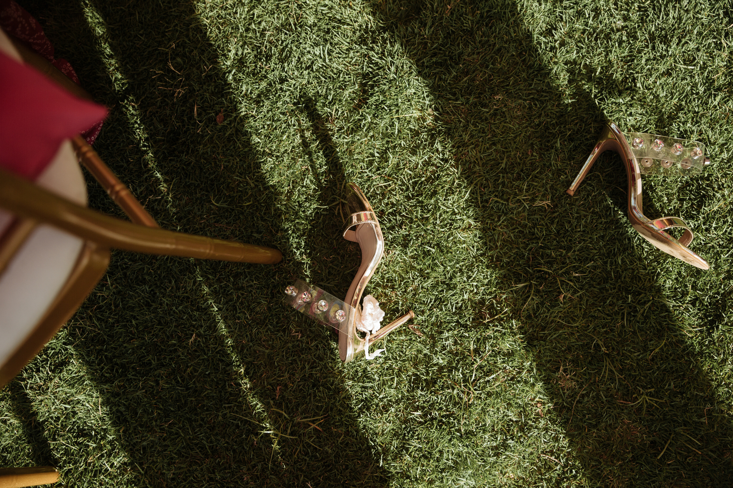 Индийская свадьба Раула и Маду. indian wedding. Rahul and Madu. Day 1 '20. Портфолио свадебного фотографа. Роман Каргаполов