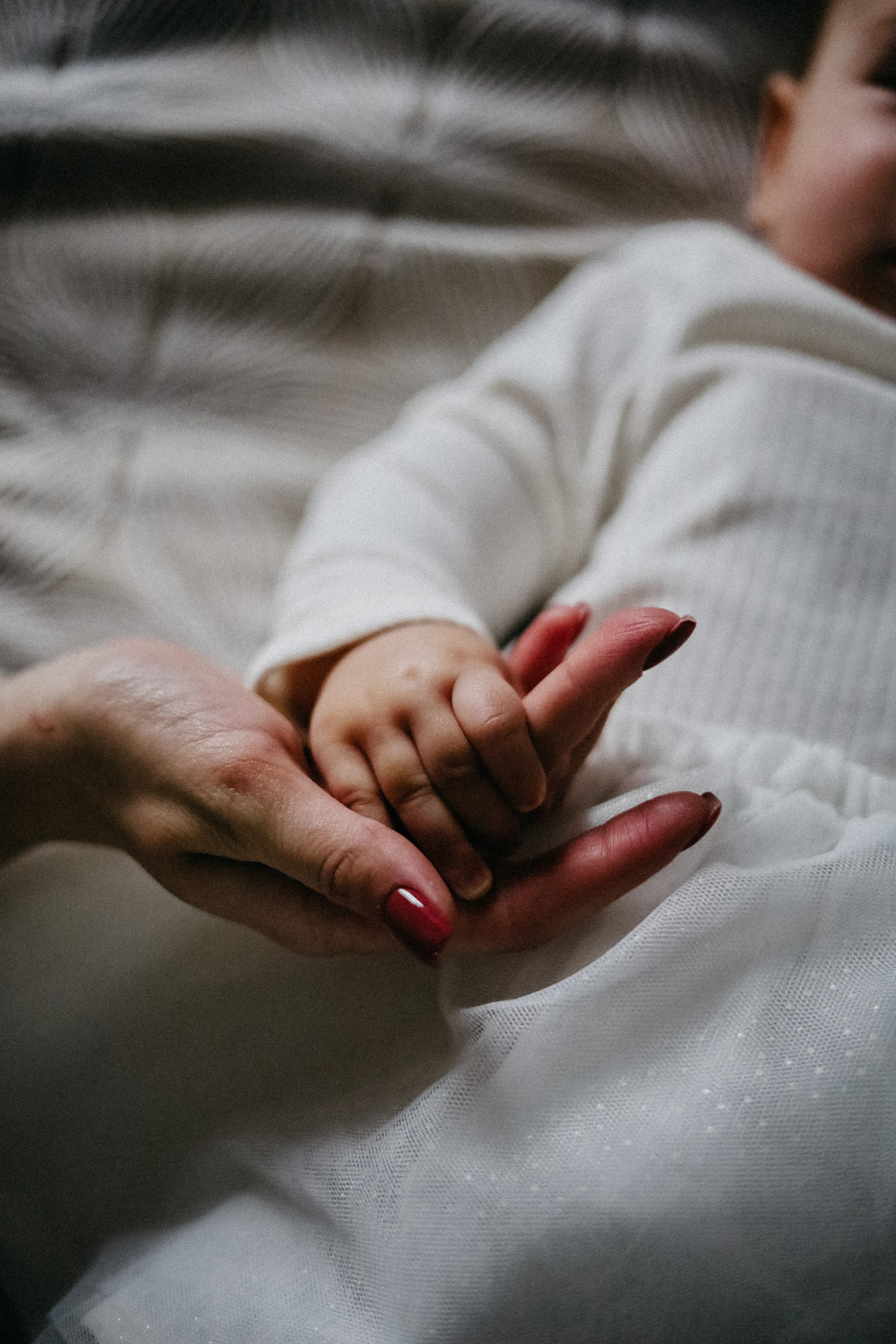 Домашняя. Фотограф Оксана Пономарева